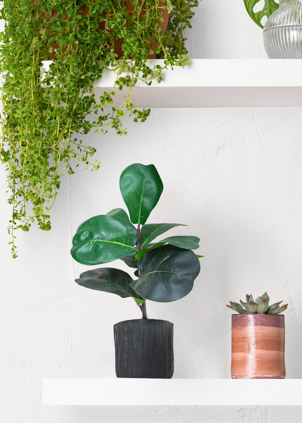 Artificial Fiddle-Leaf Fig Plant for Decor | 9 Leaves with Basic Pot | 27.9 cm