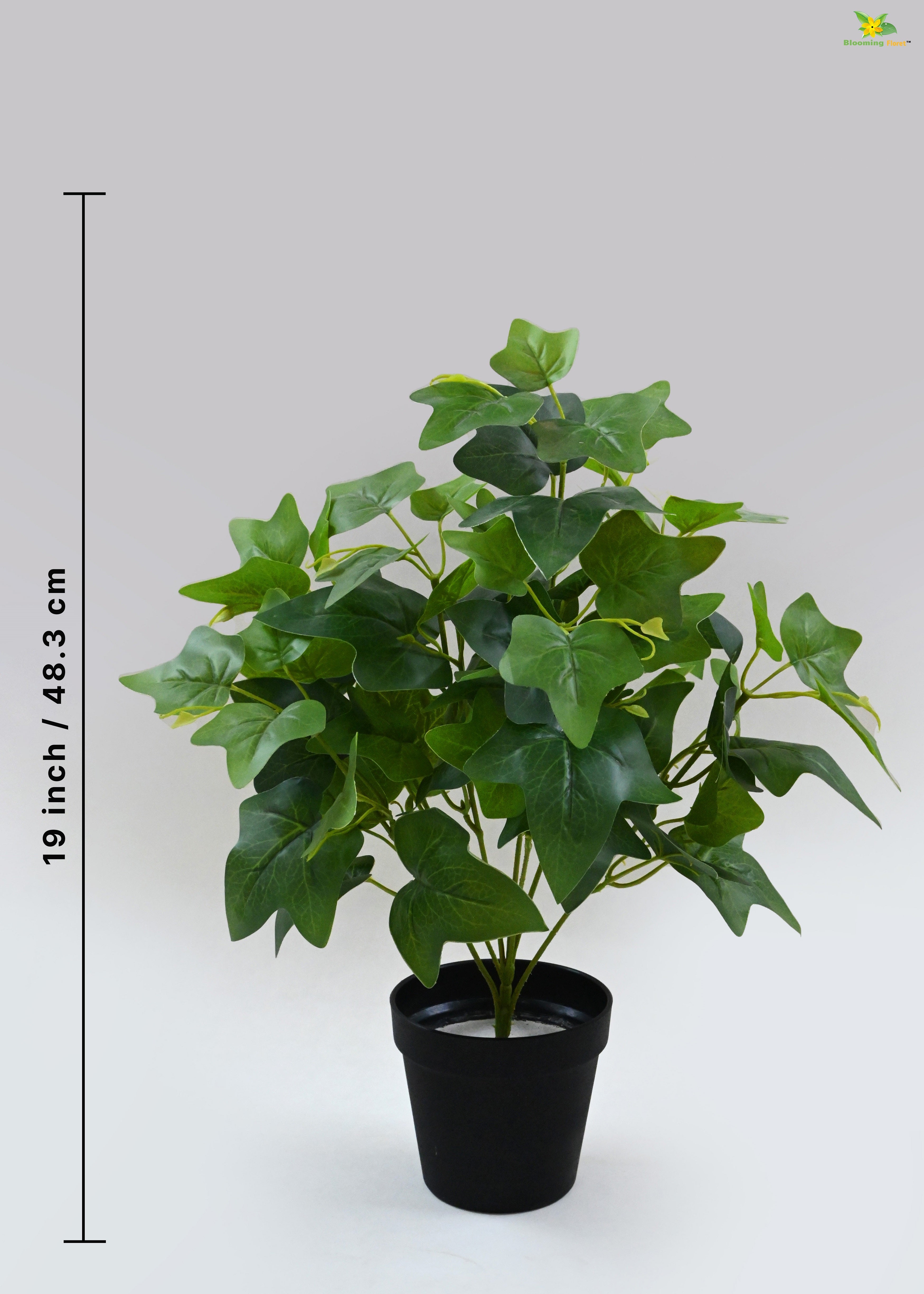 Artificial Japanese Ivy Plant for Decor | with Basic Pot | 48.3 cm