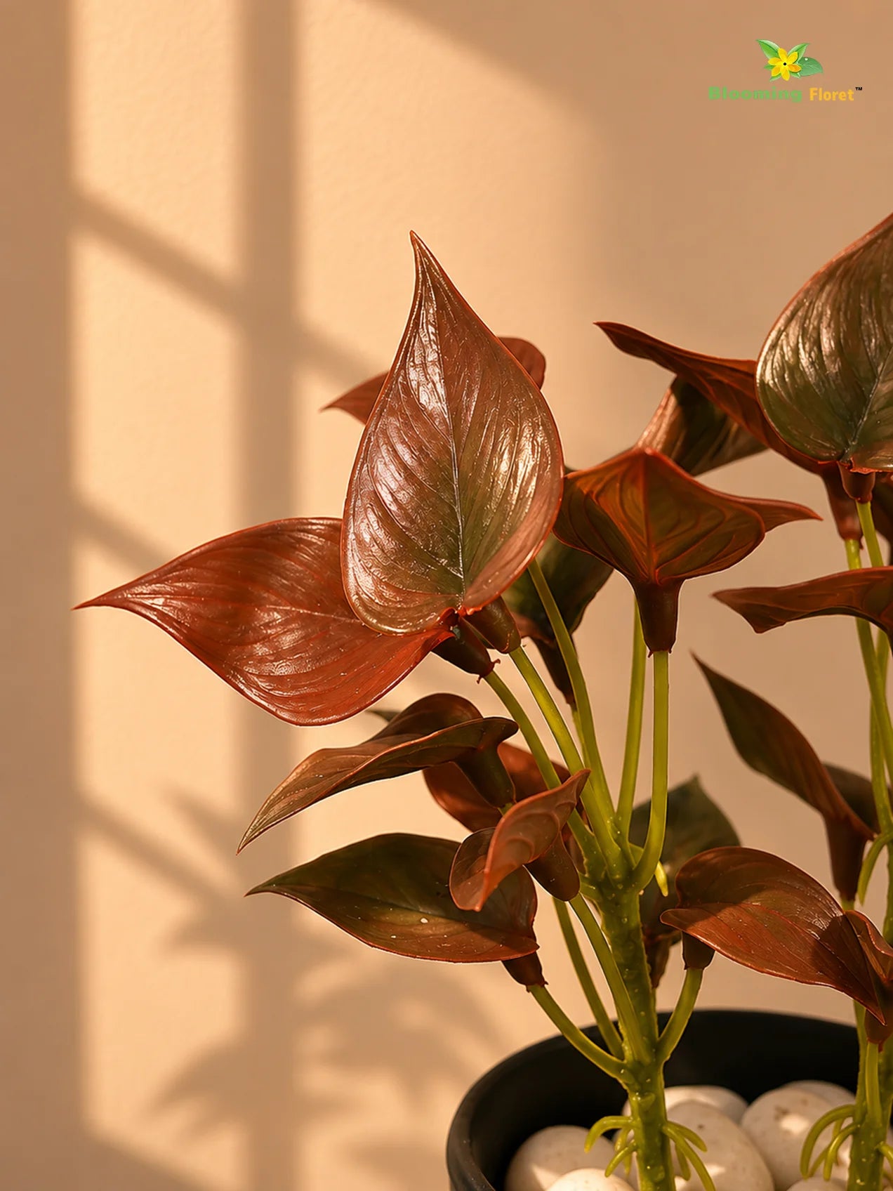 Artificial Money Plant Succulent | Maroon | 15 cm | Set of 3