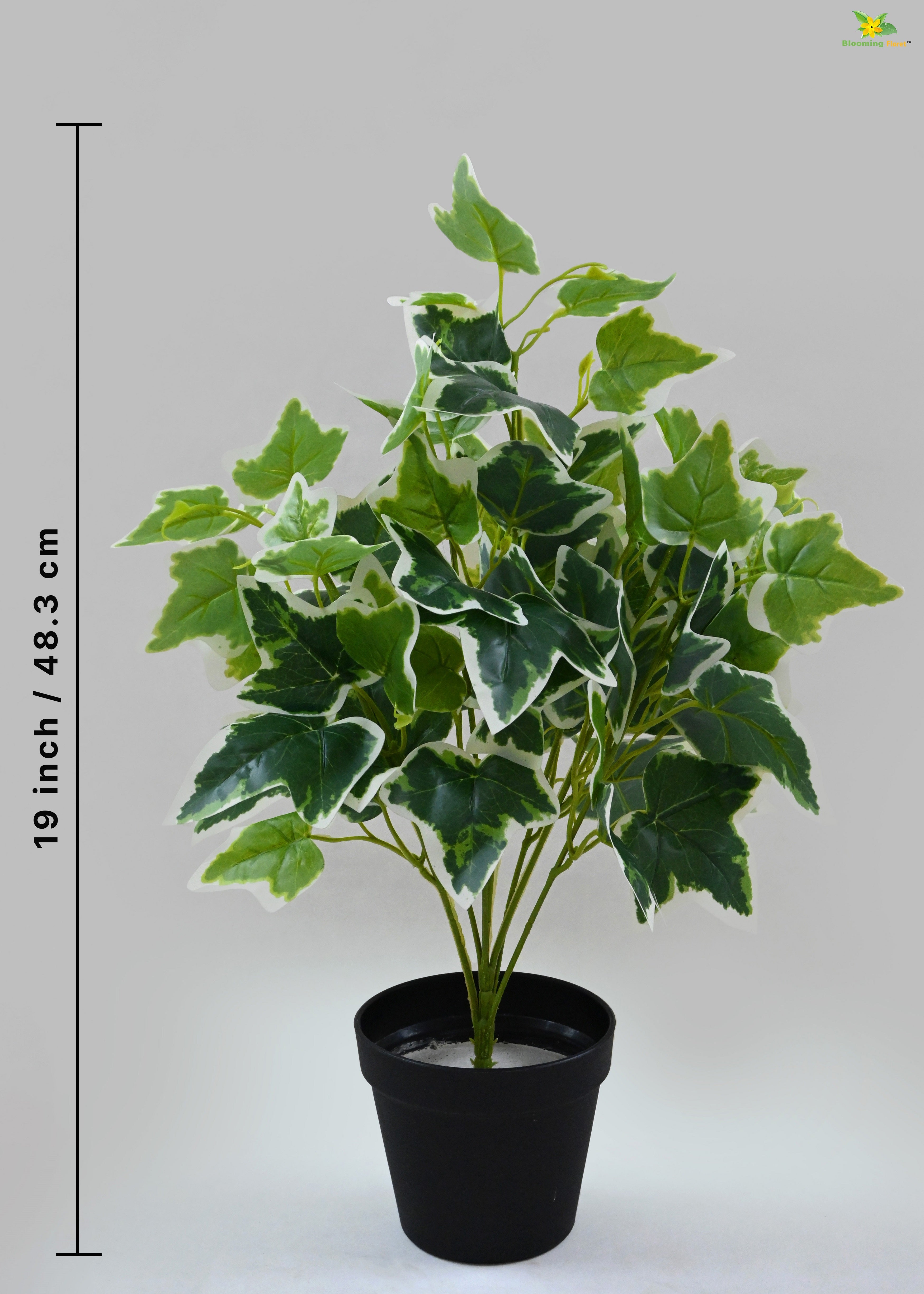 Ivory Elegance Bettina Ivy Plant for Decor | with Basic Pot | 48.3 cm