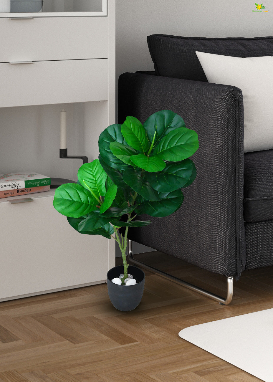 Artificial Fiddle-Leaf Fig Plant for Decor | 24 Leaves with Basic Pot | 74.9 cm