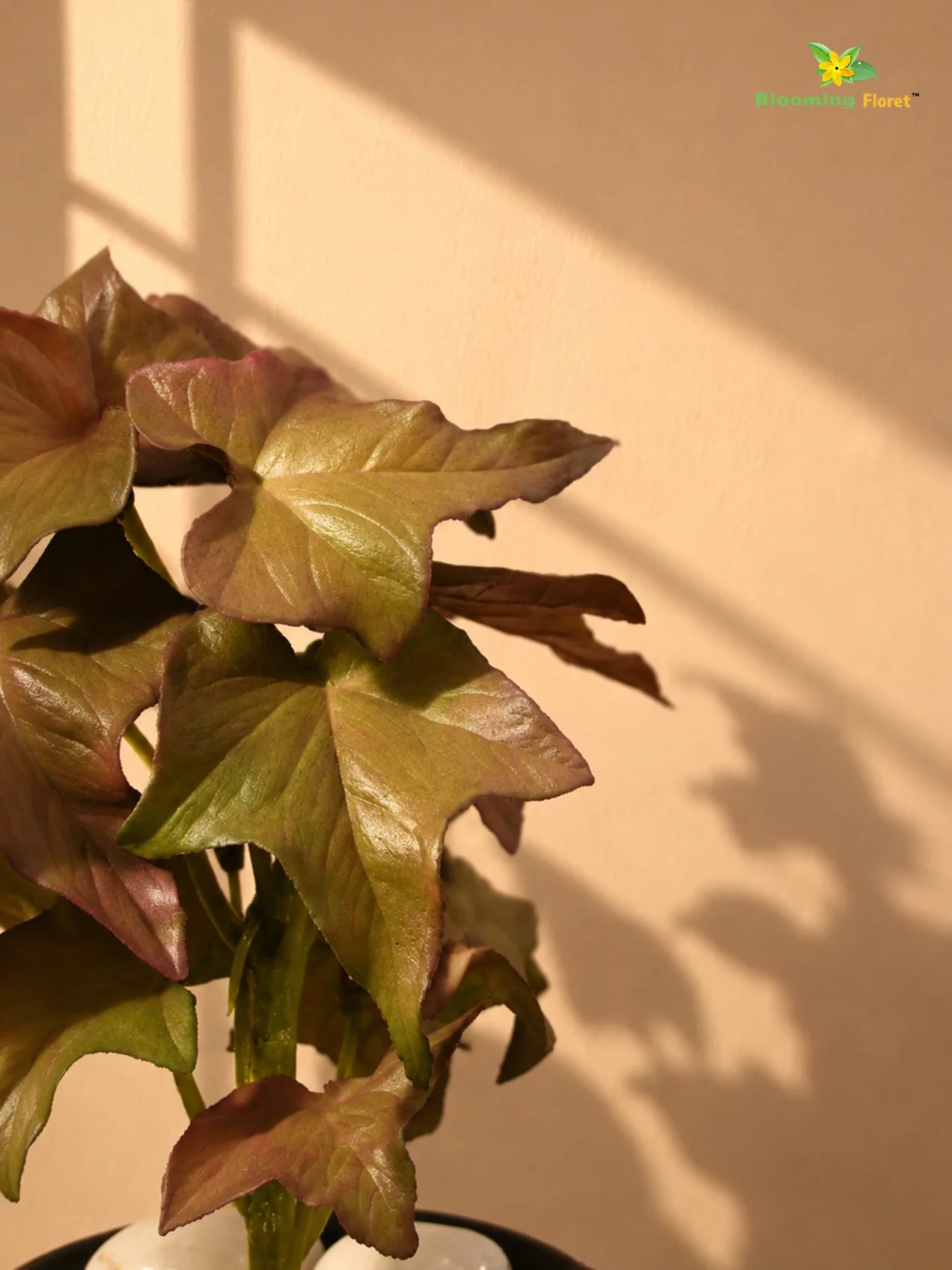 Artificial Ivy Succulent | Green & Red | 16 cm | Set of 3