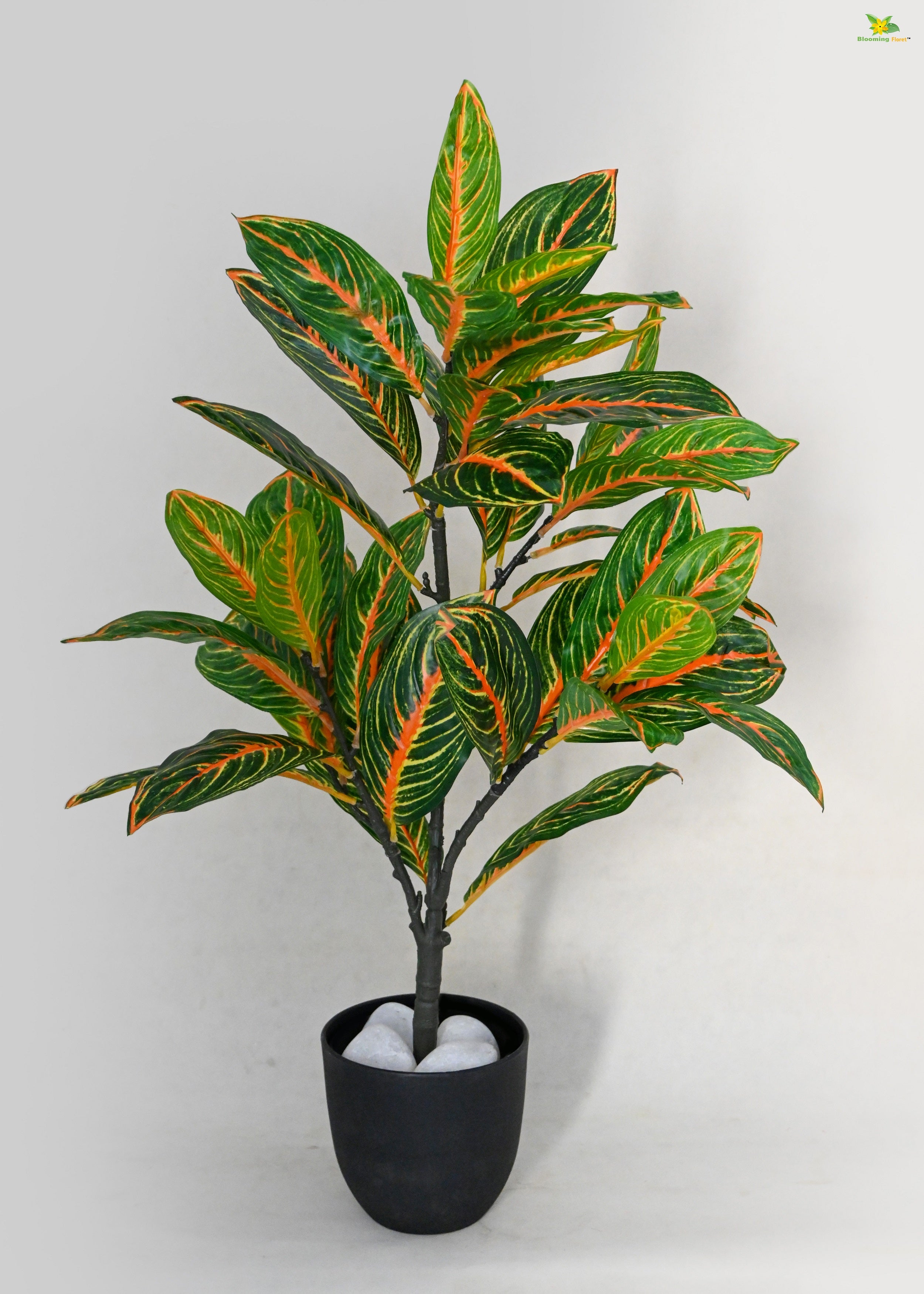 Artificial Aglaonema Plant for Decor 30 Leaves with Basic Pot | 65 cm