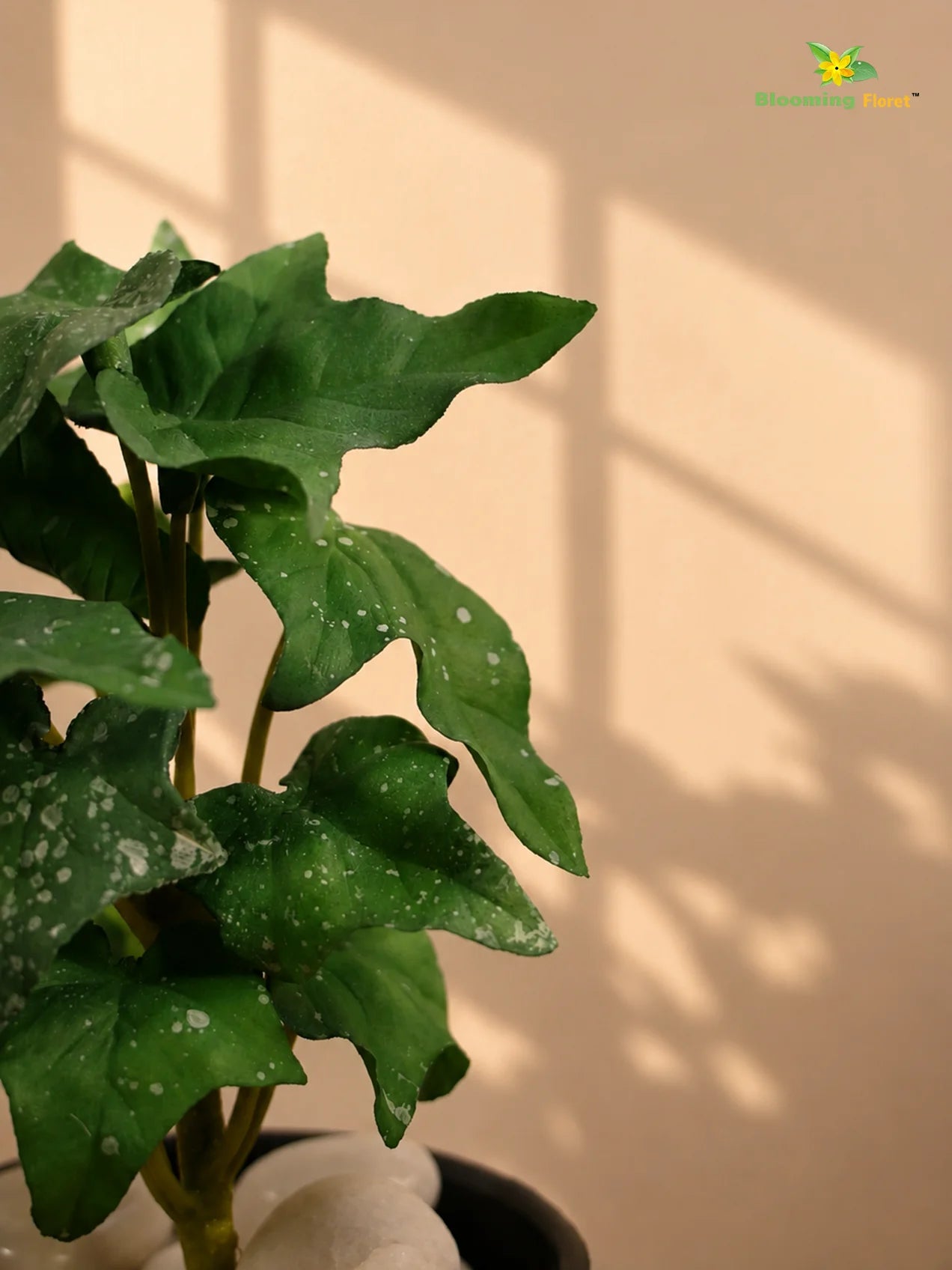 Artificial Ivy Succulent | Green | 16 cm