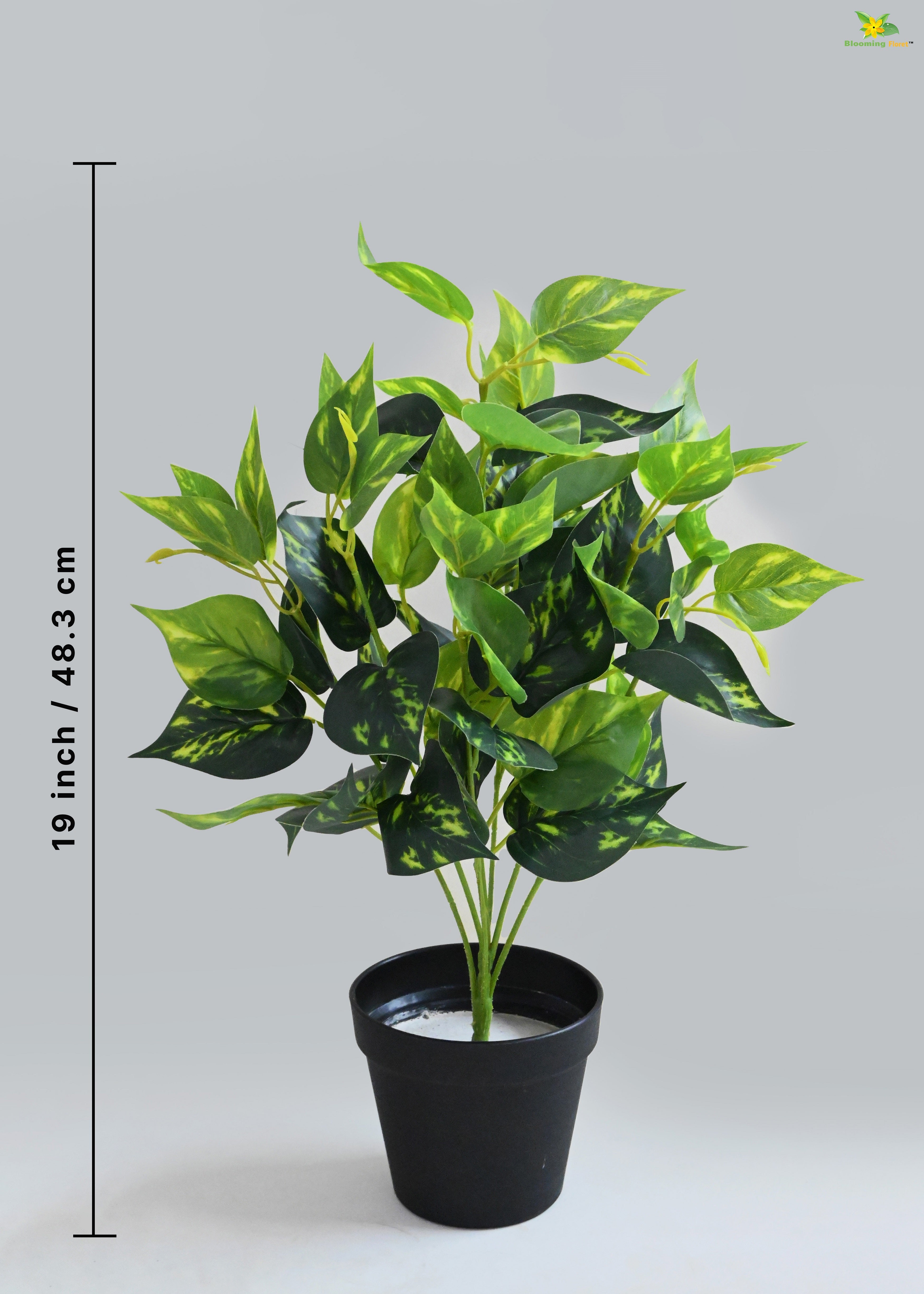 Artificial Golden Pothos for Decor | with Basic Pot | 48.3 cm