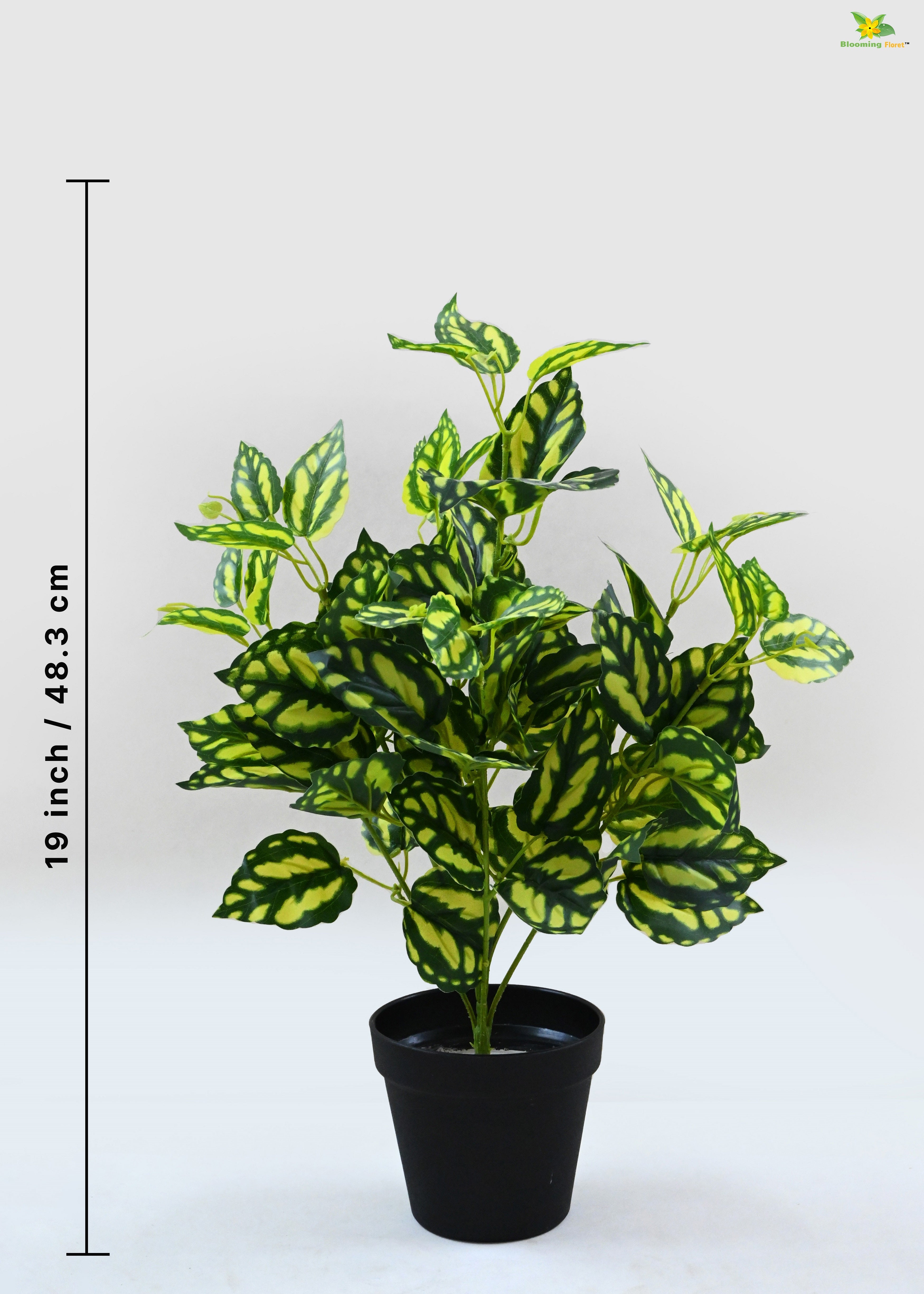 Artificial Peacock Plant for Decor | with Basic Pot | 48.3 cm