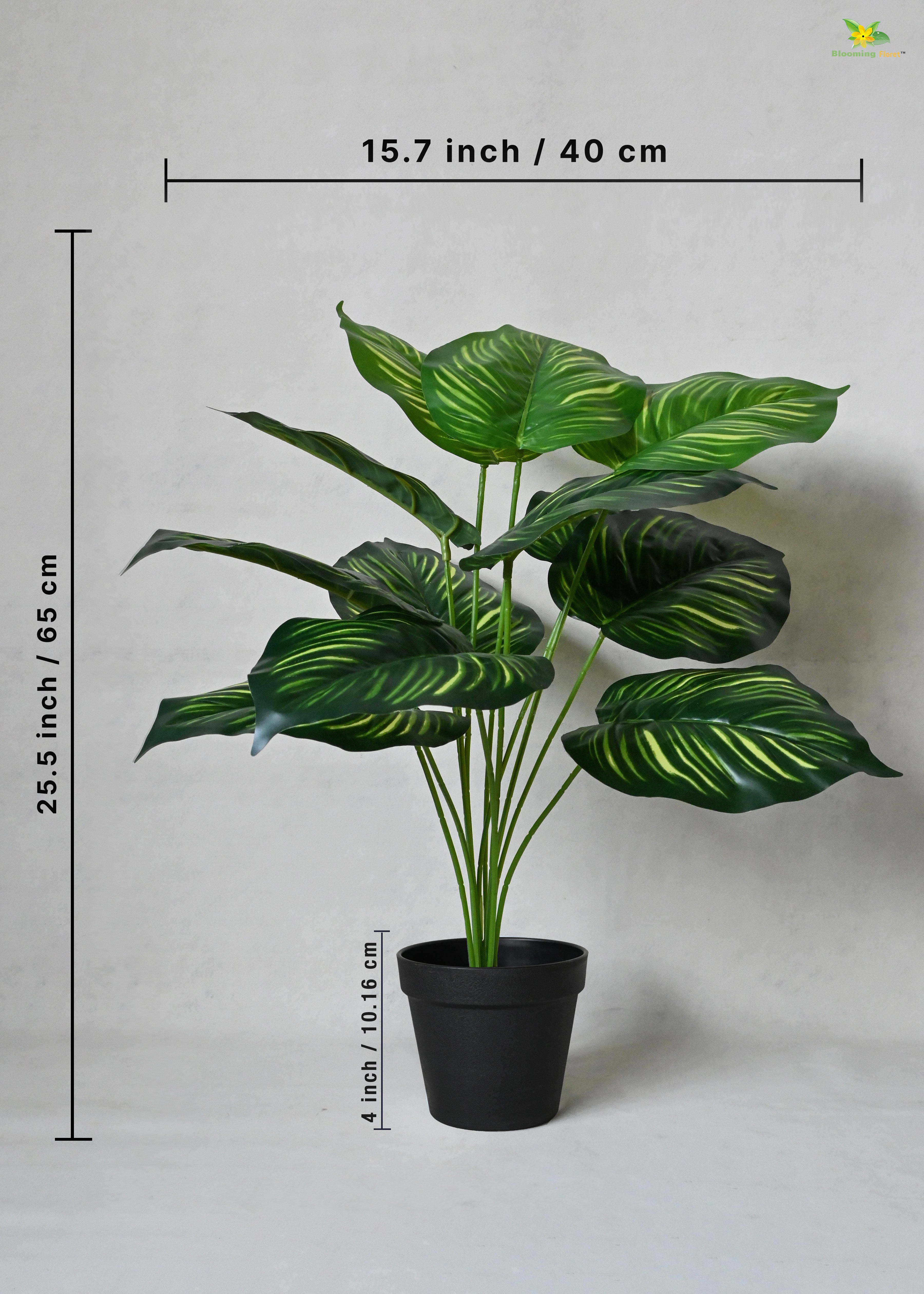 Artificial Calathea Orbifolia Plant for Decor 12 Leaves with Basic Pot | 65 cm