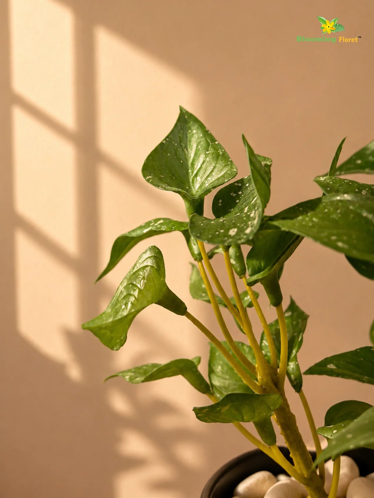 Artificial Money Plant Succulent | Small Green Leaves | 15 cm