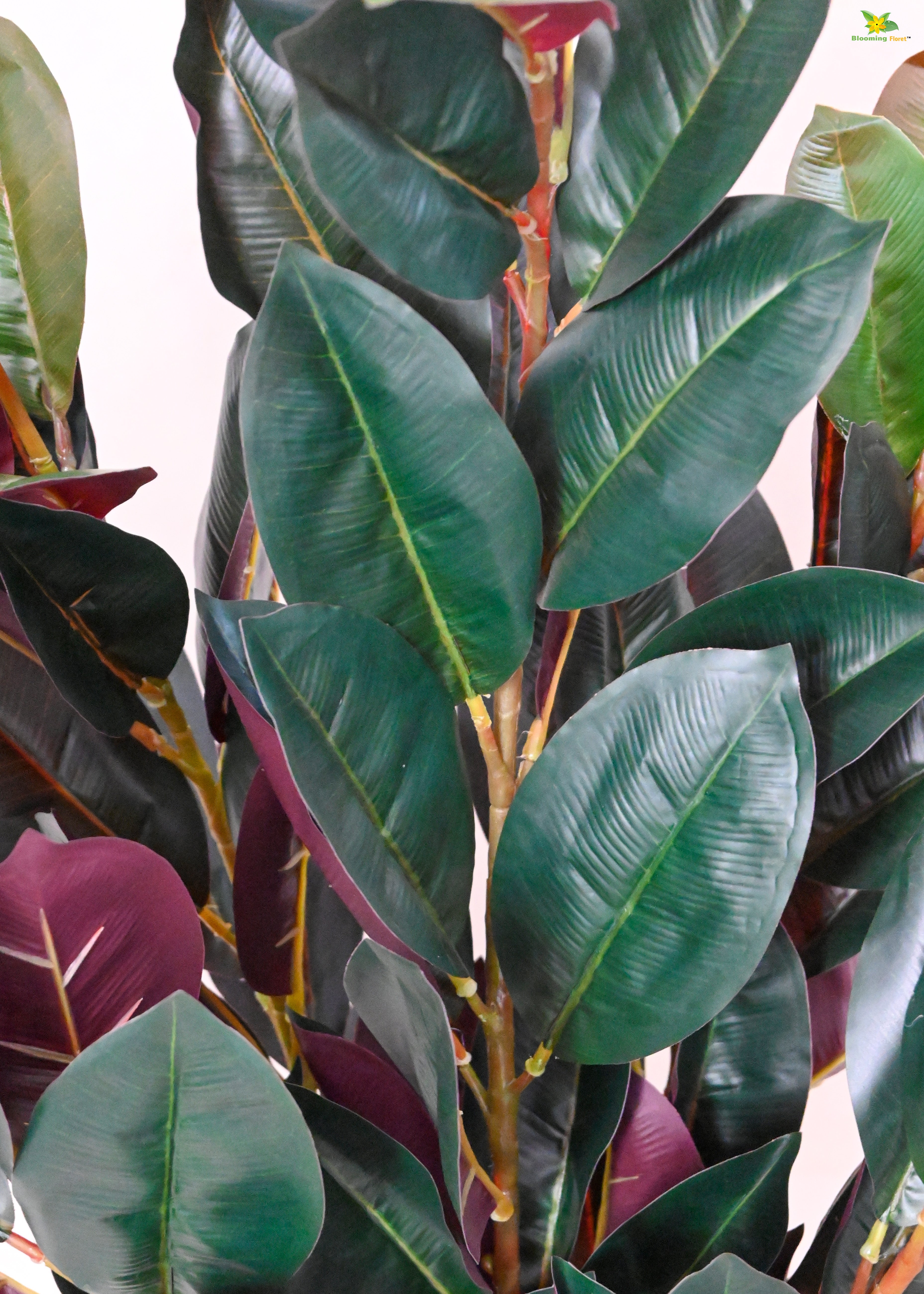 Artificial Rubber Plant for Decor | 104 Leaves with Basic Pot | 85 cm