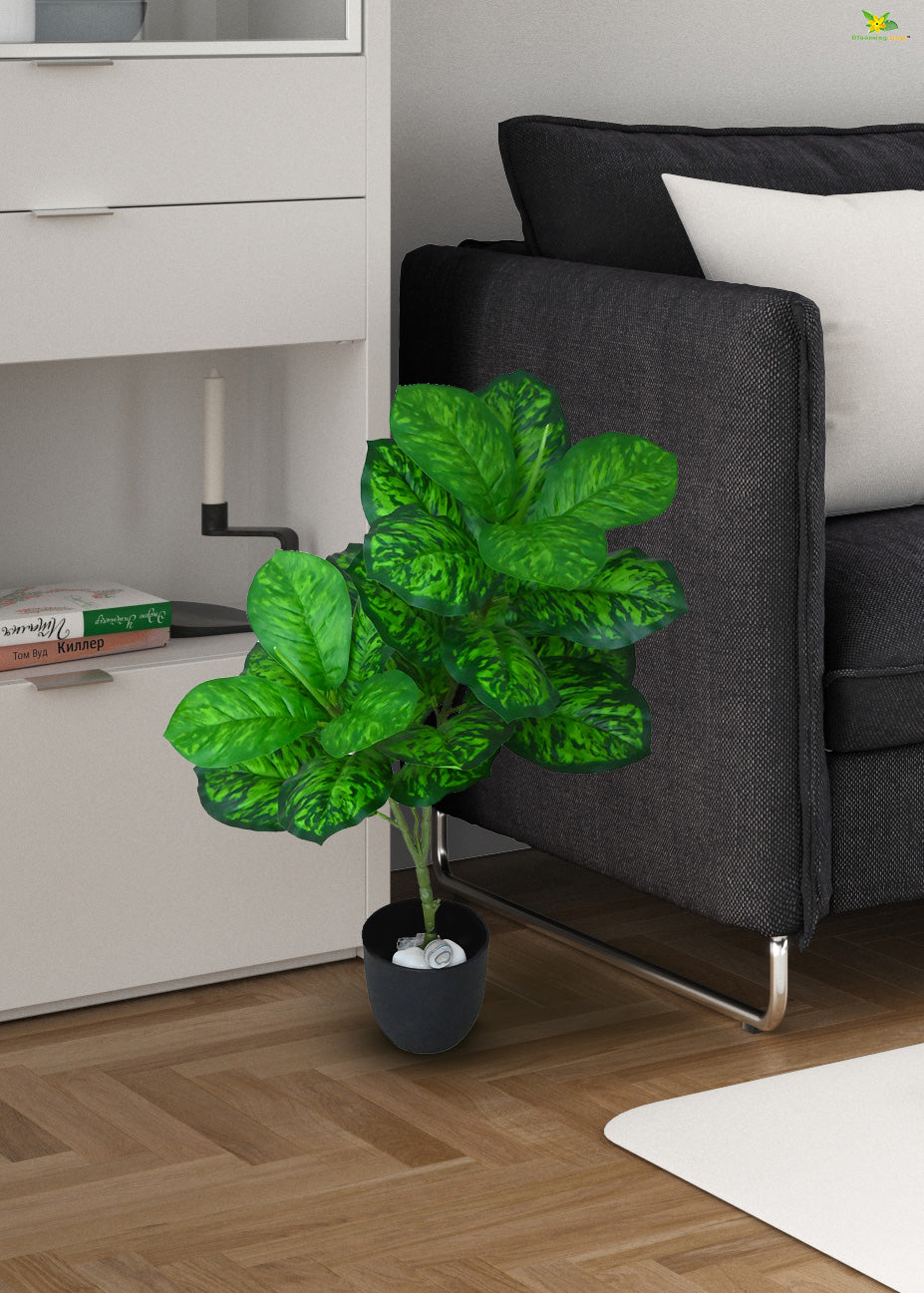 Artificial Dieffenbachia Seguine Plant for Decor | 24 Leaves with Basic Pot | 74.9 cm