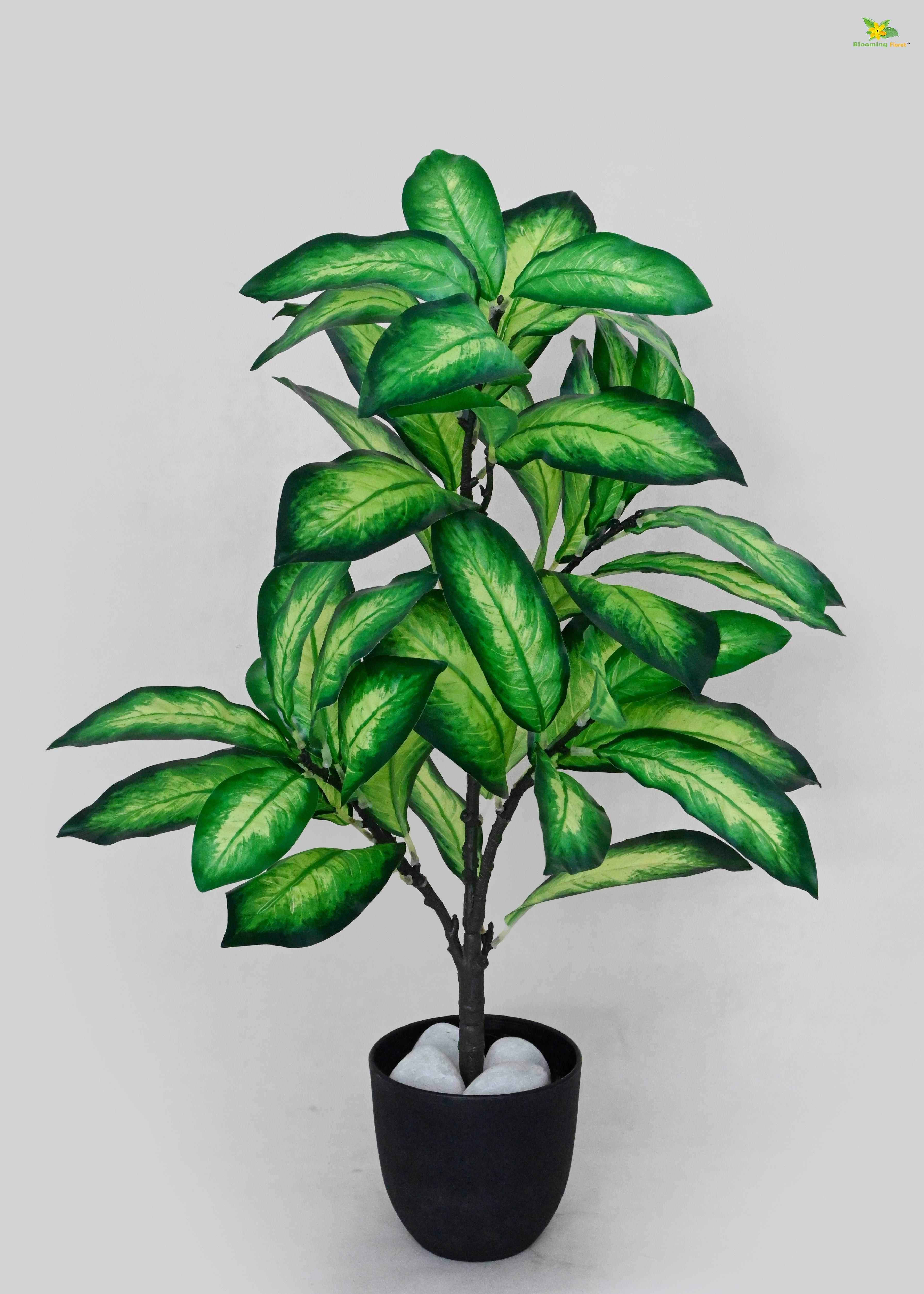 Artificial Dieffenbachia Seguine Plant for Decor 30 Leaves with Basic Pot | 65 cm