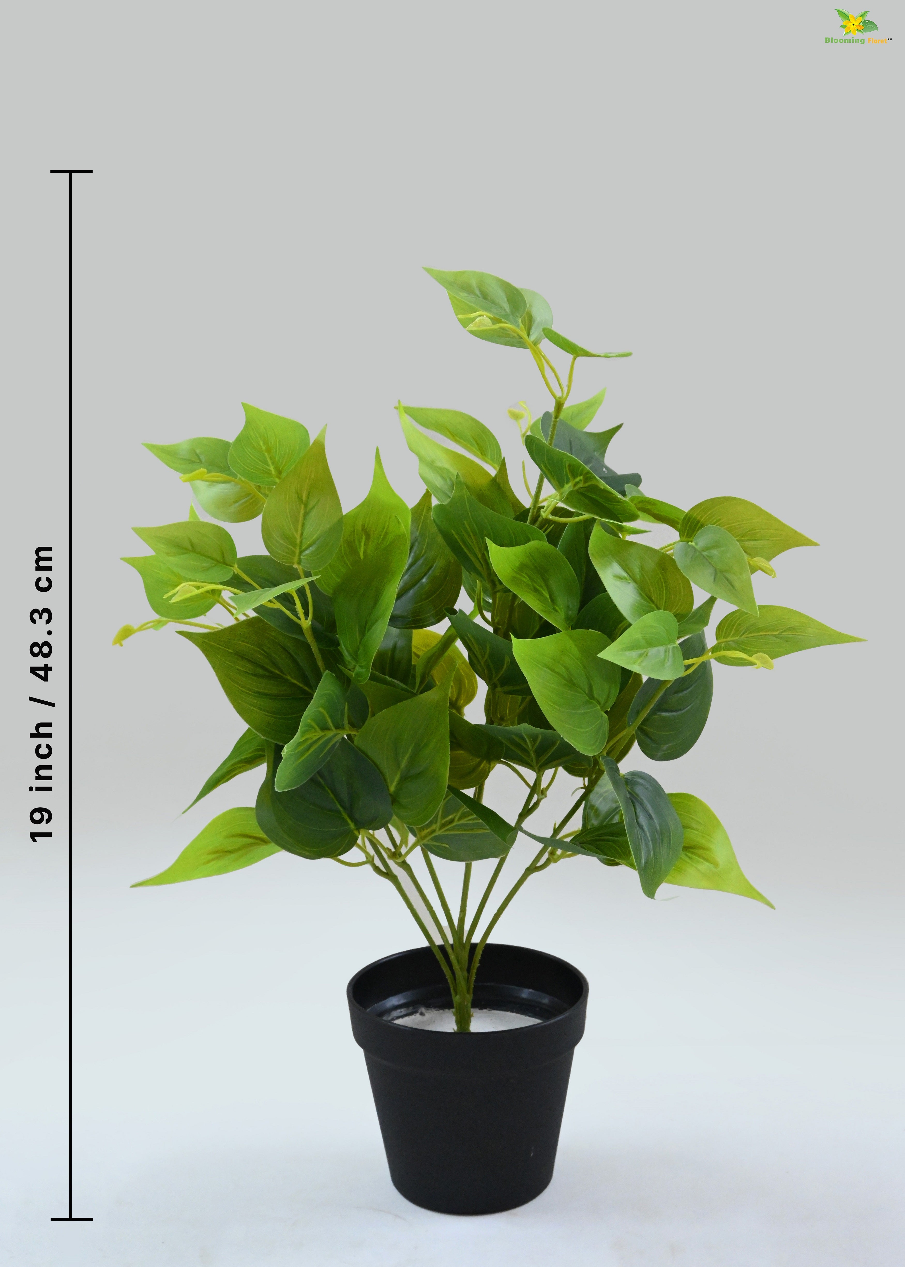 Artificial Jade Pothos for Decor | with Basic Pot | 48.3 cm