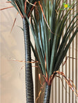Artificial Yucca Plant – 167 cm, without Pot