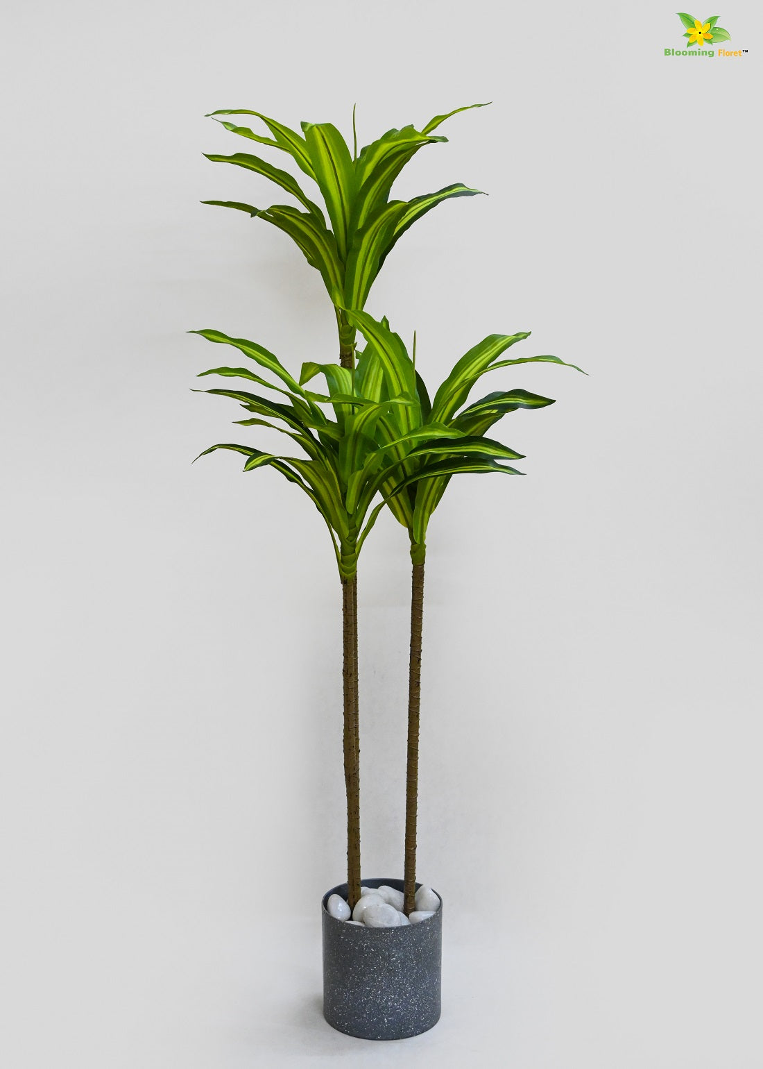 Artificial Dracaena Plant