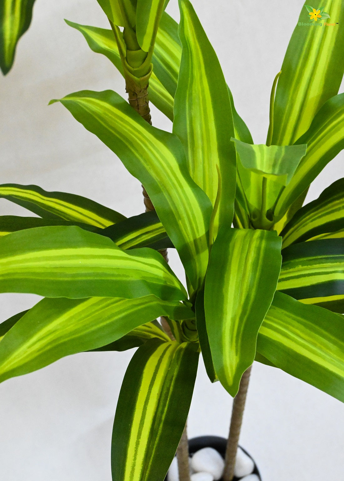 Artificial Dracaena Plant