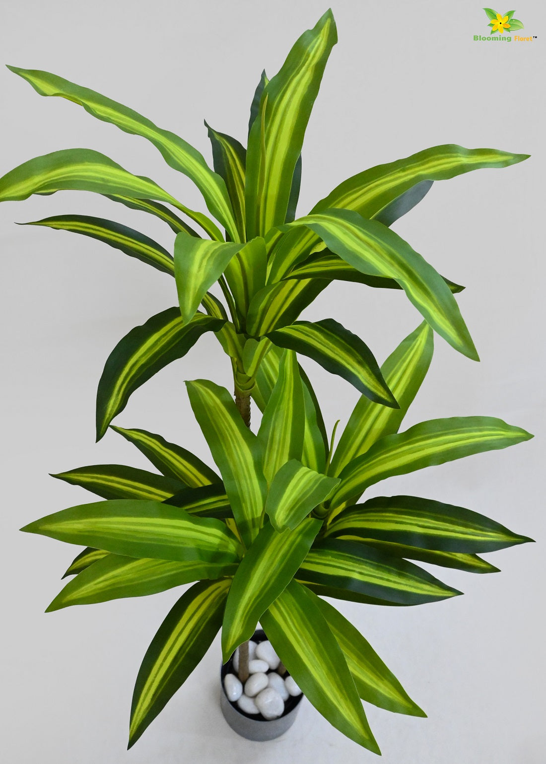 Artificial Dracaena Plant