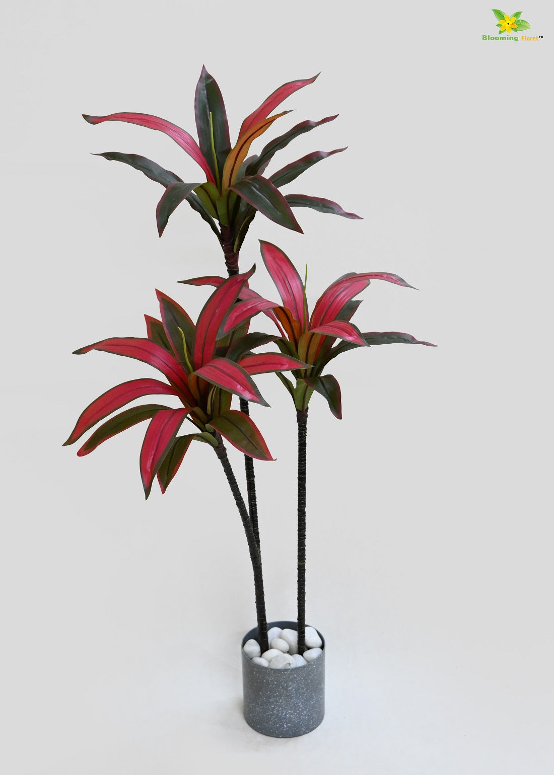 Artificial Dracaena Plant