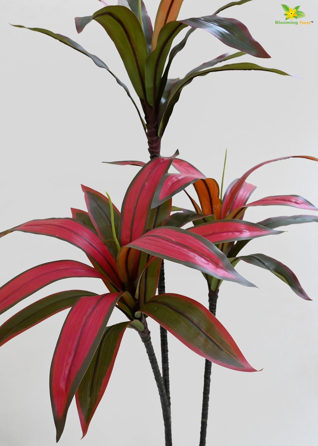 Artificial Dracaena Plant