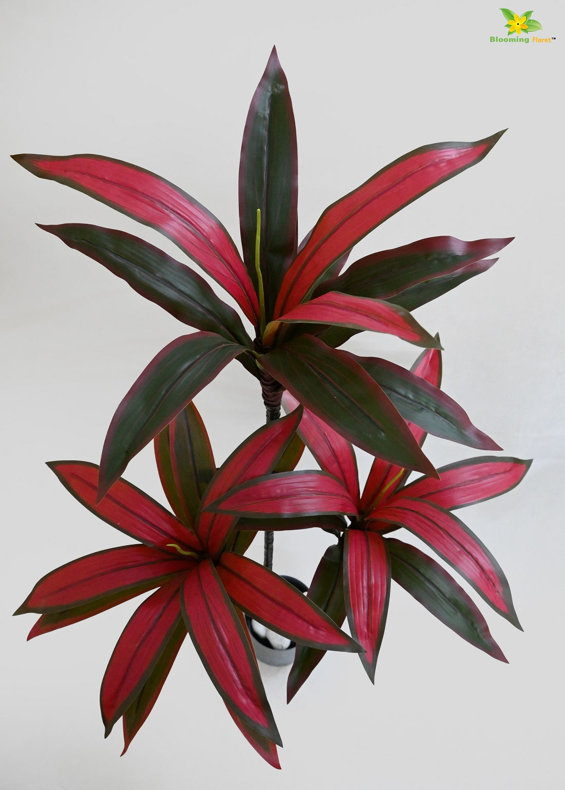 Artificial Dracaena Plant