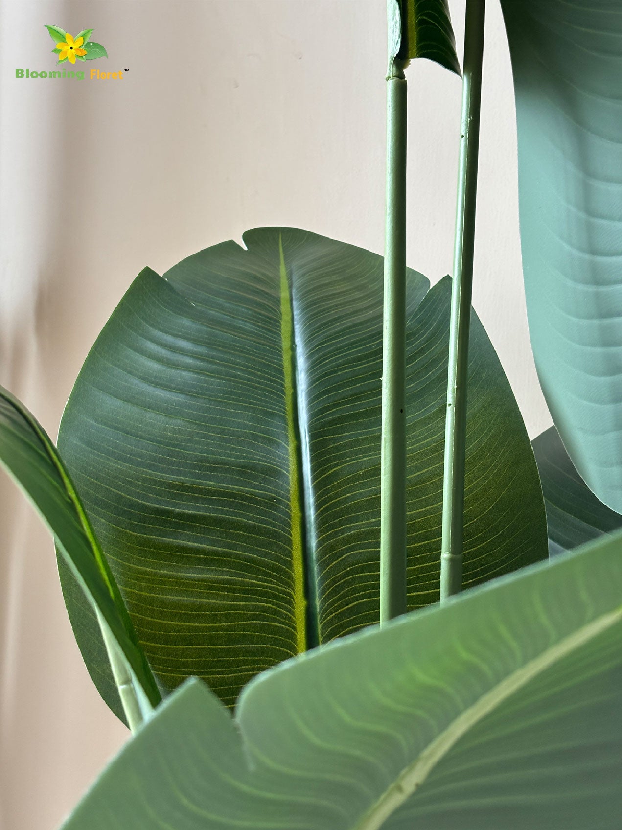 Artificial Banana Plant - 157 cm, with Basic Pot