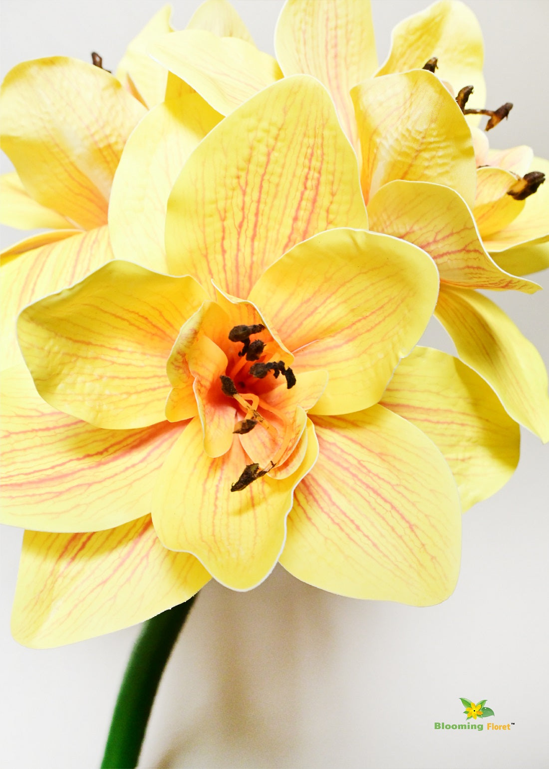 Artificial Amaryllis Splendor