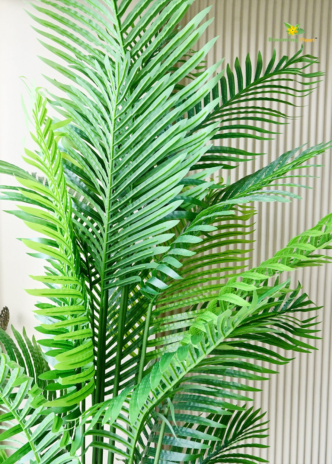 Areca Palm Plants 6.5 ft with 21 Leaves