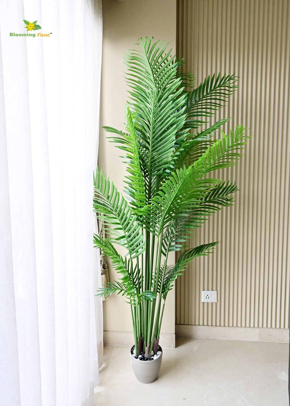 Areca Palm Plants 6.5 ft with 21 Leaves