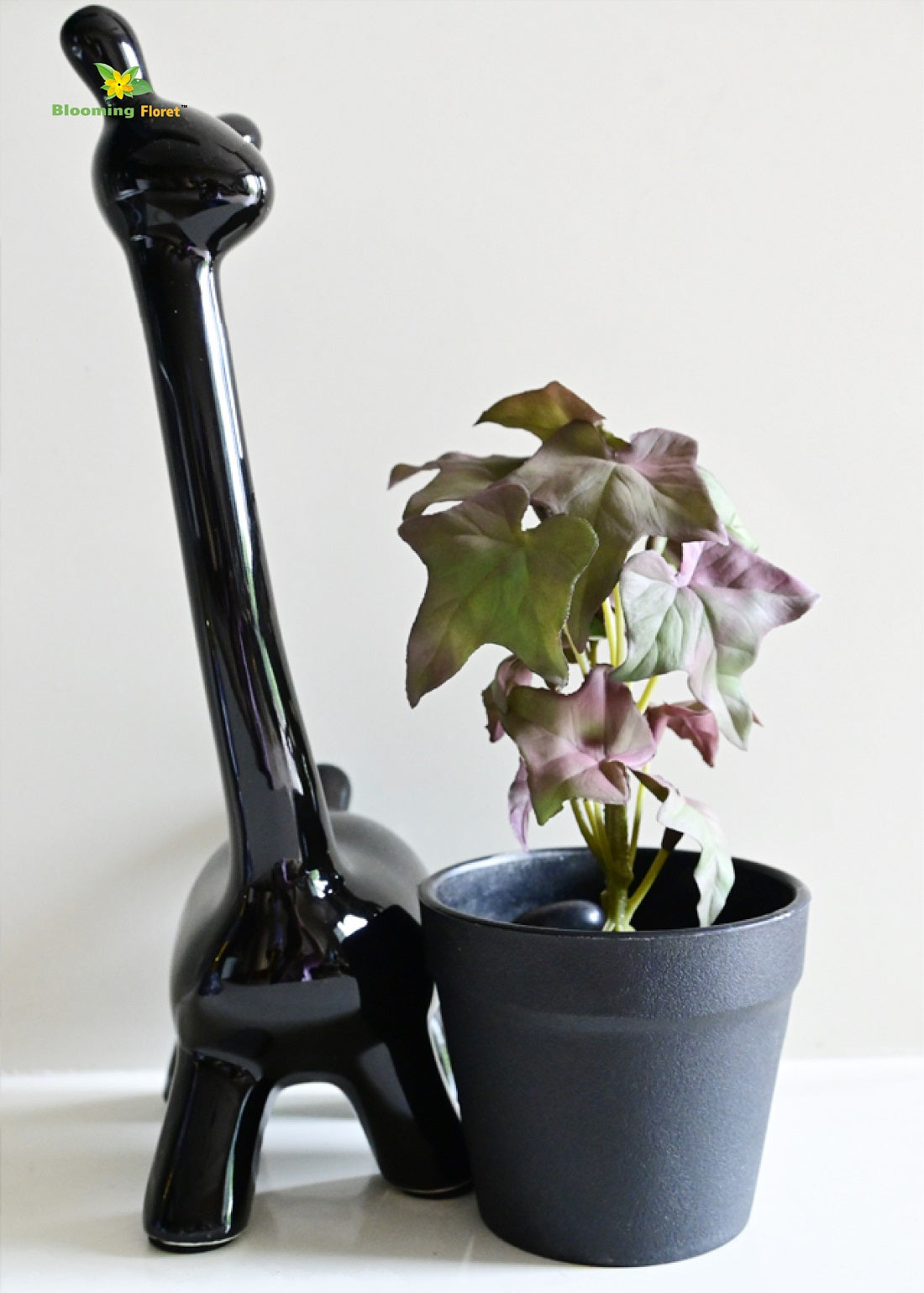 Ivy Succulent - Green and Red