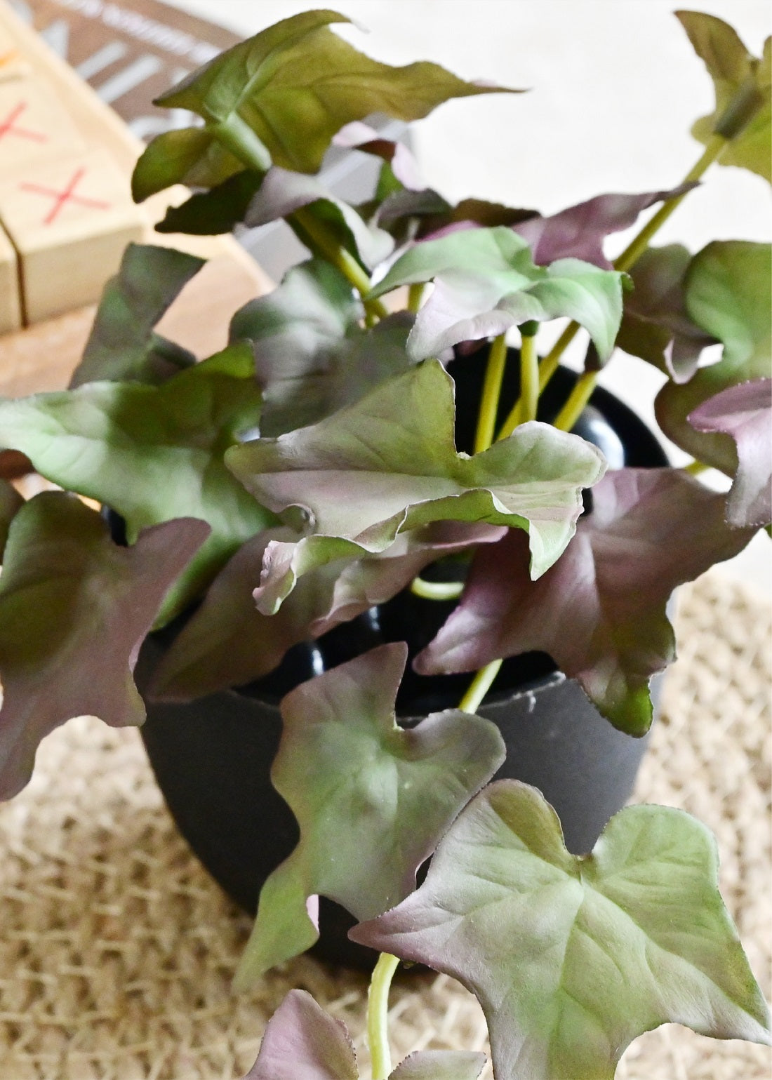 Verdant Charm Ivy Succulent