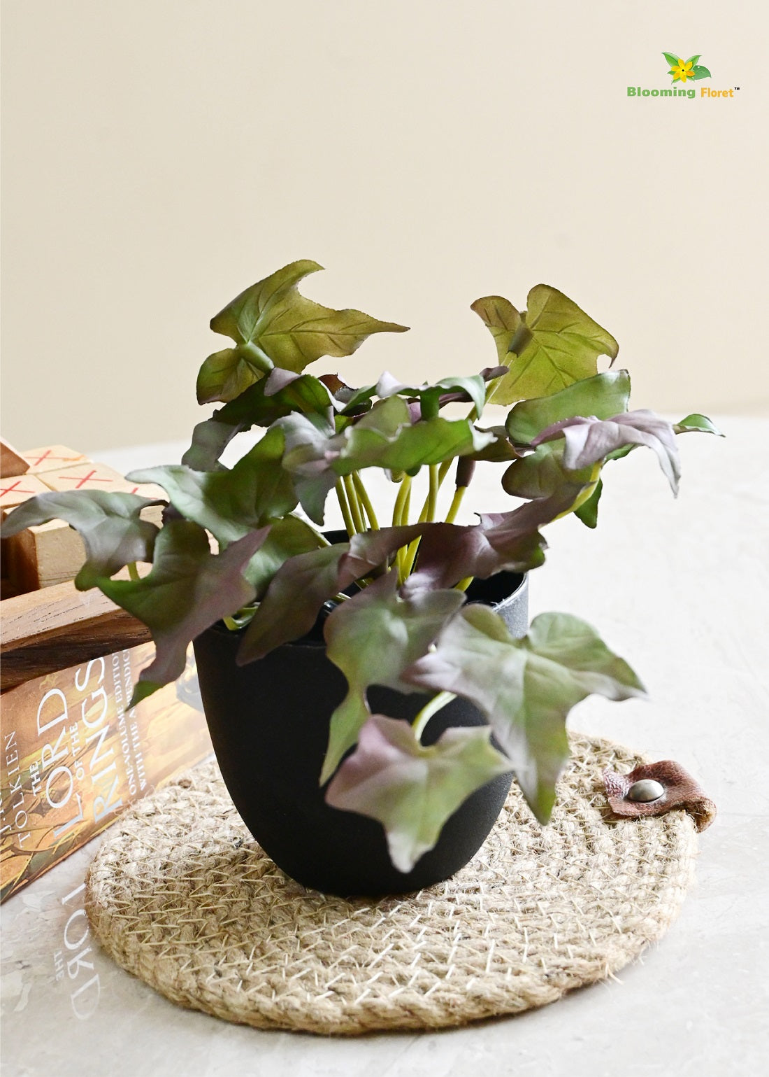 Verdant Charm Ivy Succulent