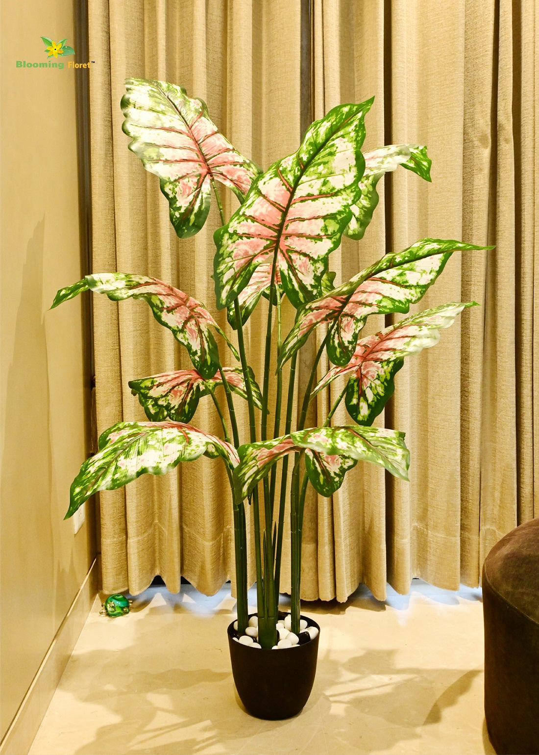 Tropical Caladium Plant - 150 cm with 10 Leaves