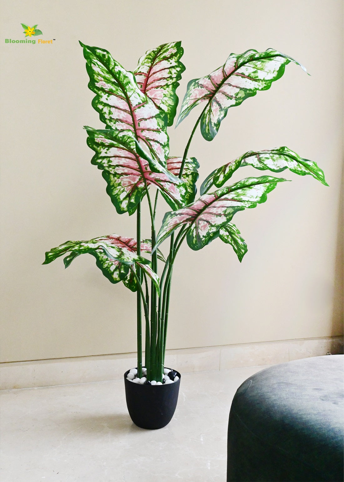 Tropical Caladium Plant - 150 cm with 10 Leaves