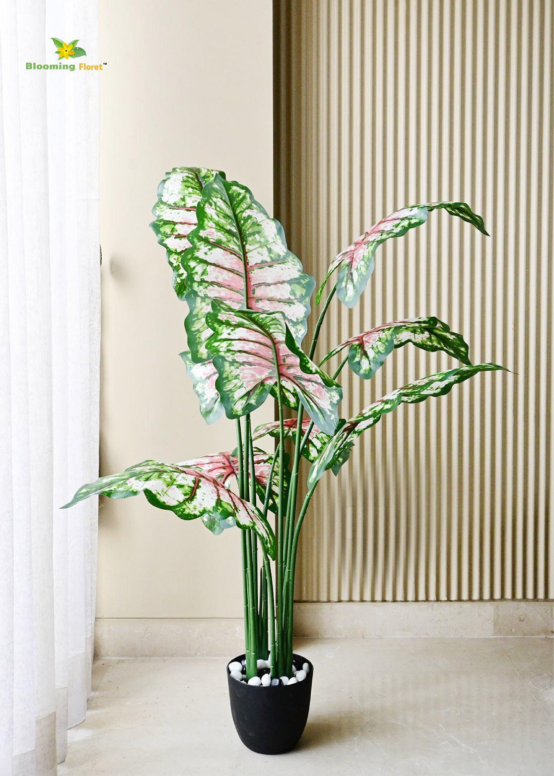 Tropical Caladium Plant - 150 cm with 10 Leaves