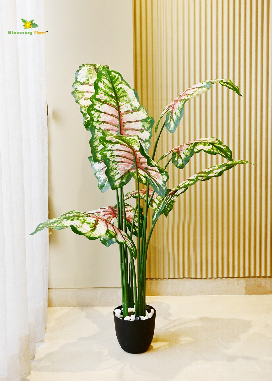 Tropical Caladium Plant - 150 cm with 10 Leaves