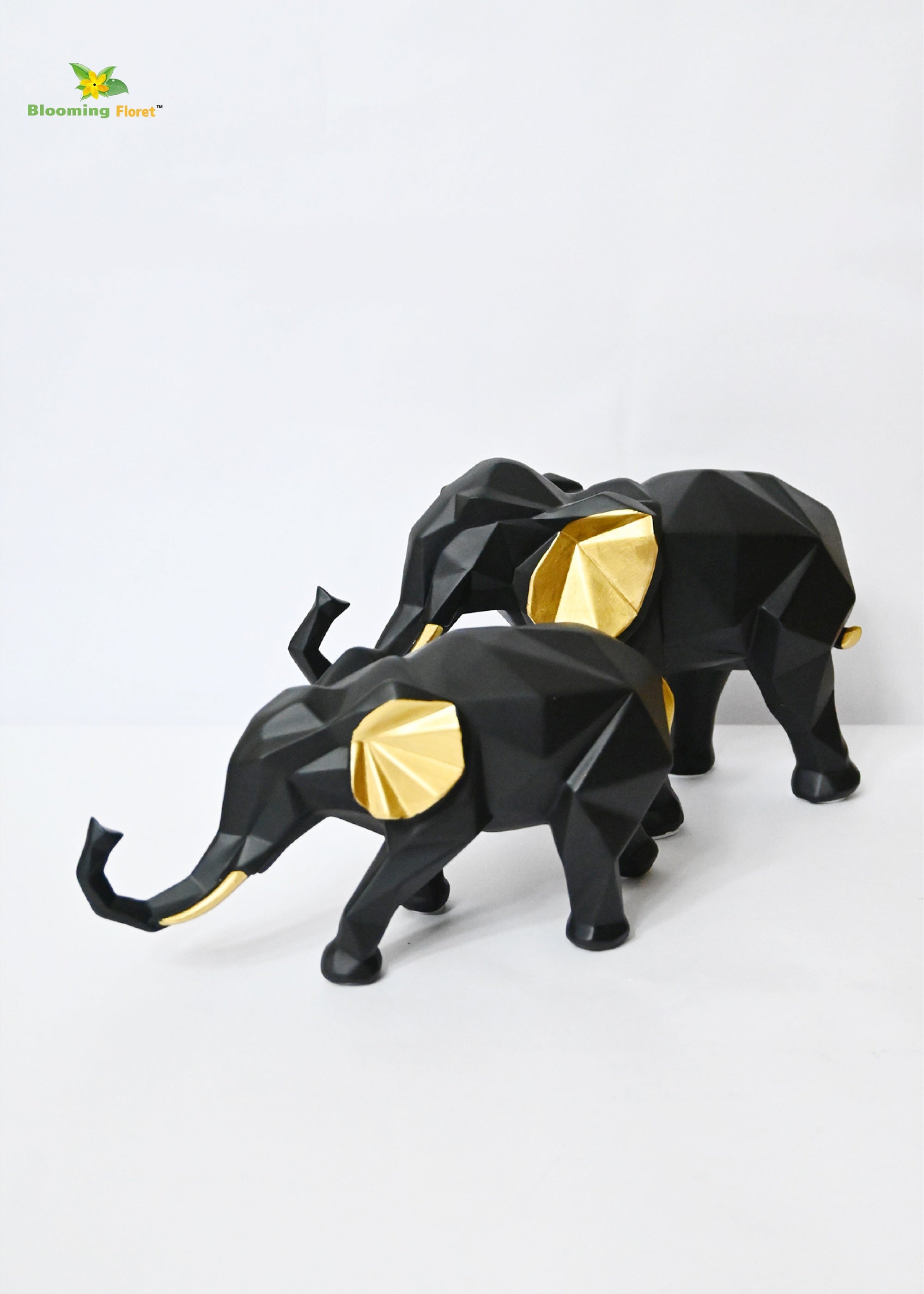 Exclusive Black Elephant Set