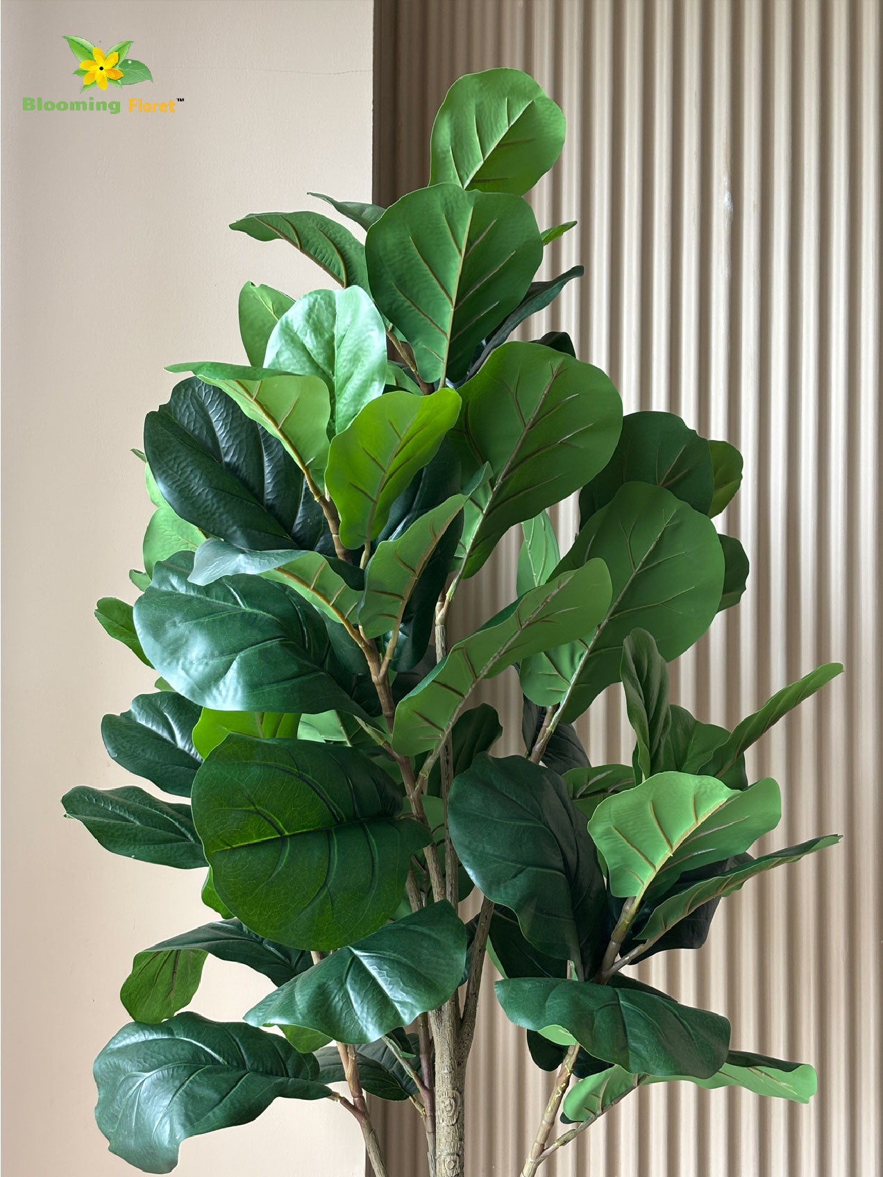 Blooming Floret Artificial Fig Plant – 170 cm, with Basic Pot