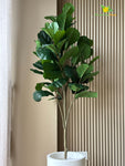 Blooming Floret Artificial Fig Plant – 170 cm, with Basic Pot