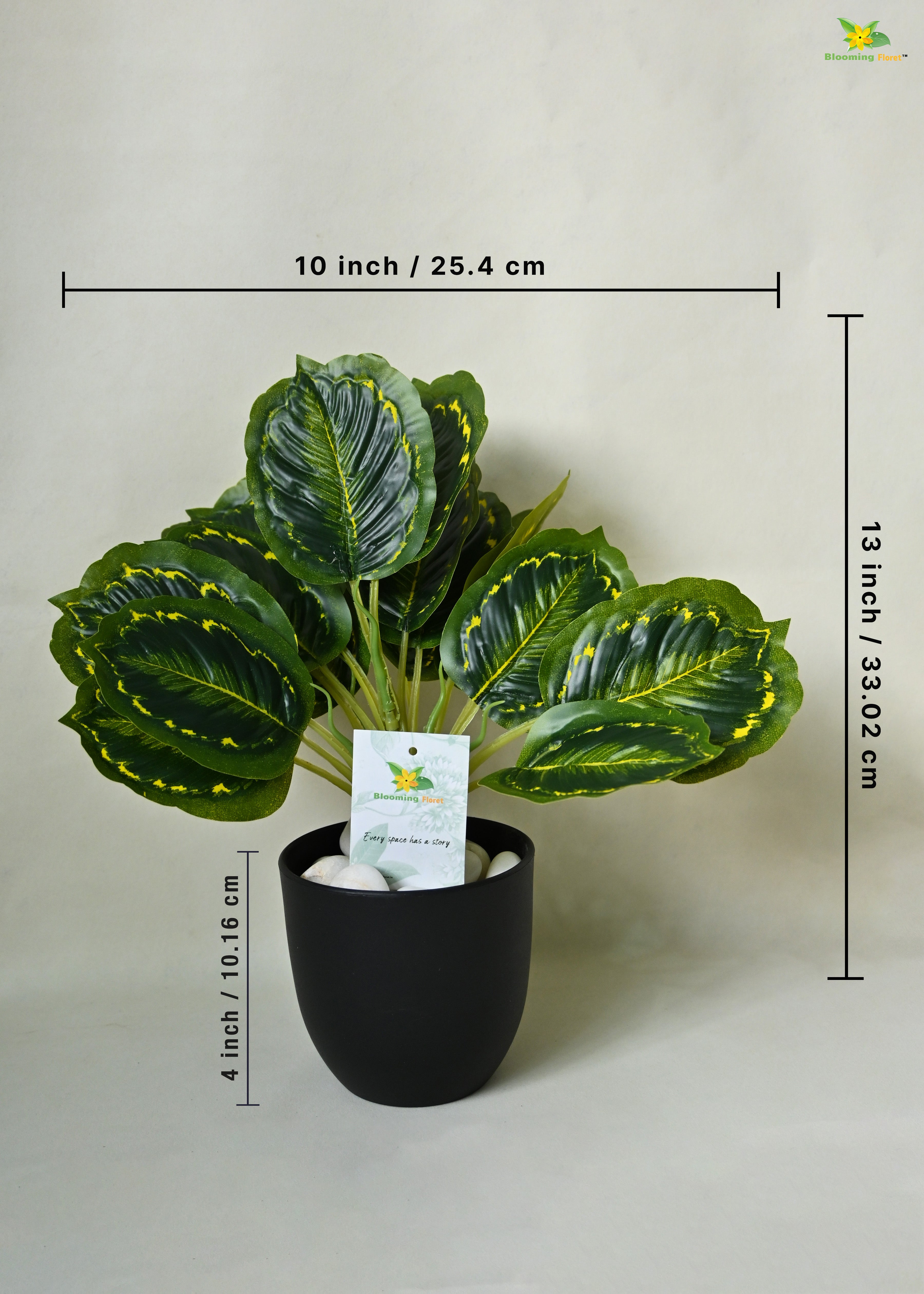 Artificial Calathea Roseopicta Plant For Decor | 18 Leaves with Basic Pot | 33 cm