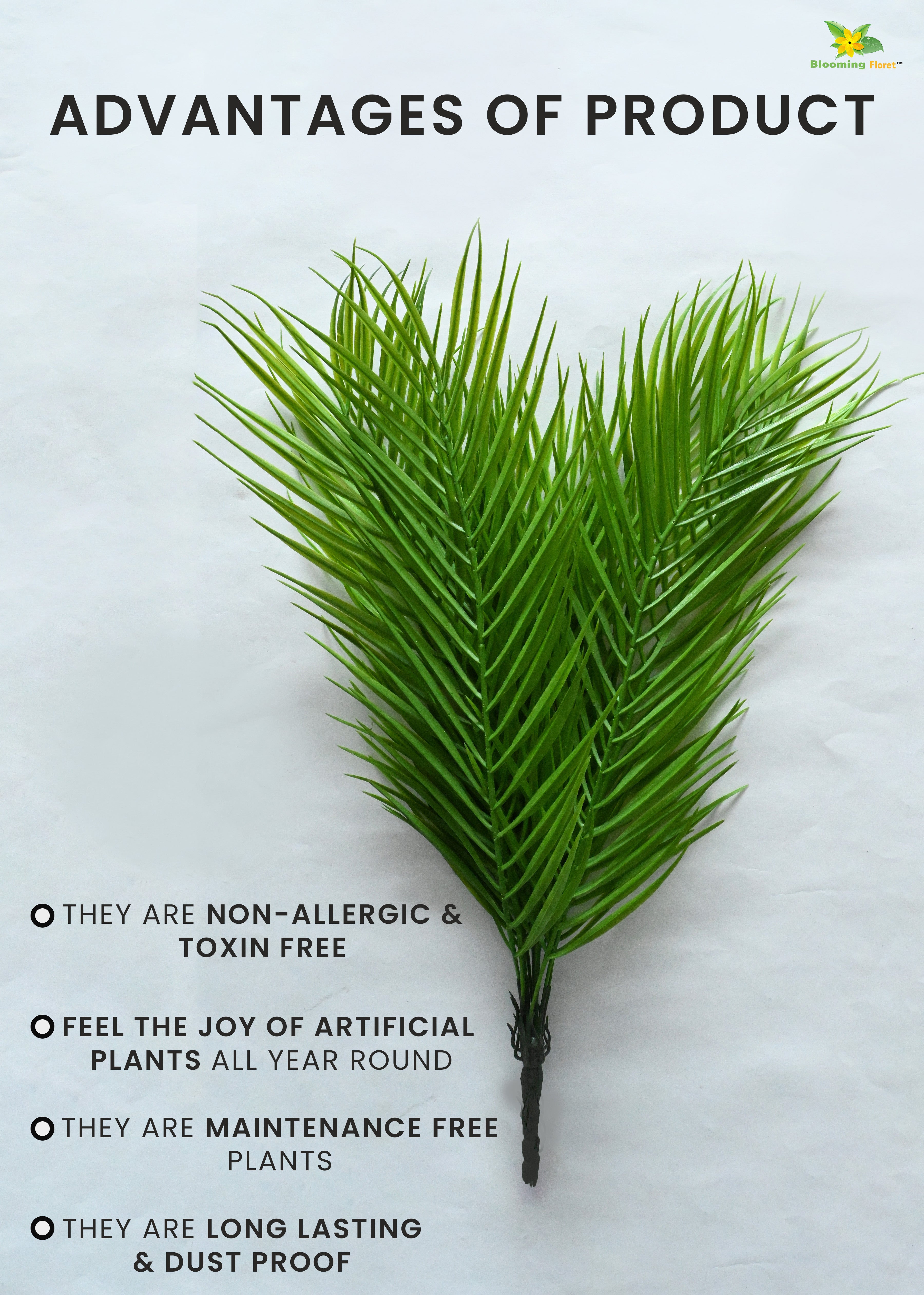 Eternal Zen Areca Palm Plant | Dark Green