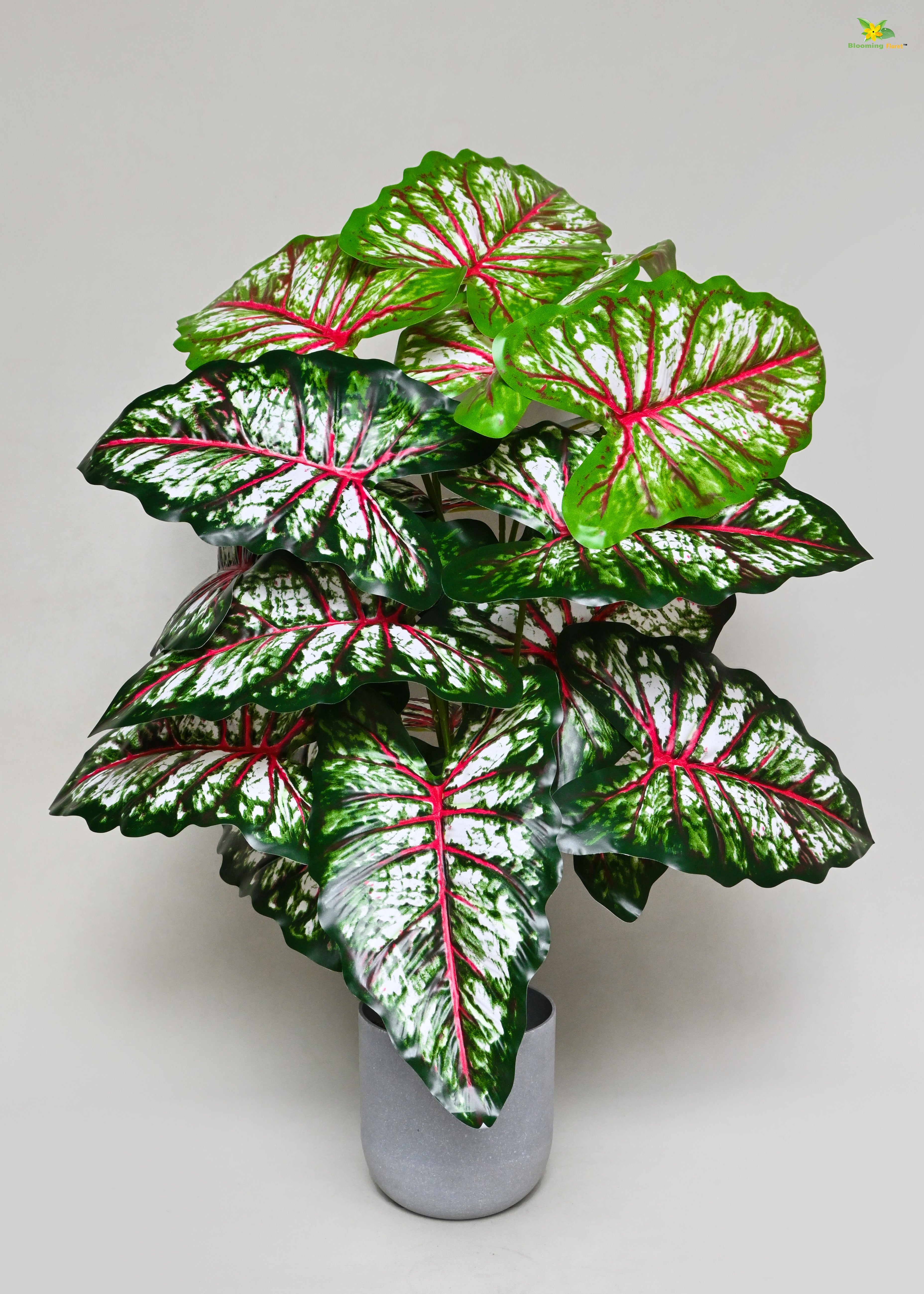 Artificial Tropical Caladium Plant for Decor | 18 Leaves with Basic Pot | 78.7 cm