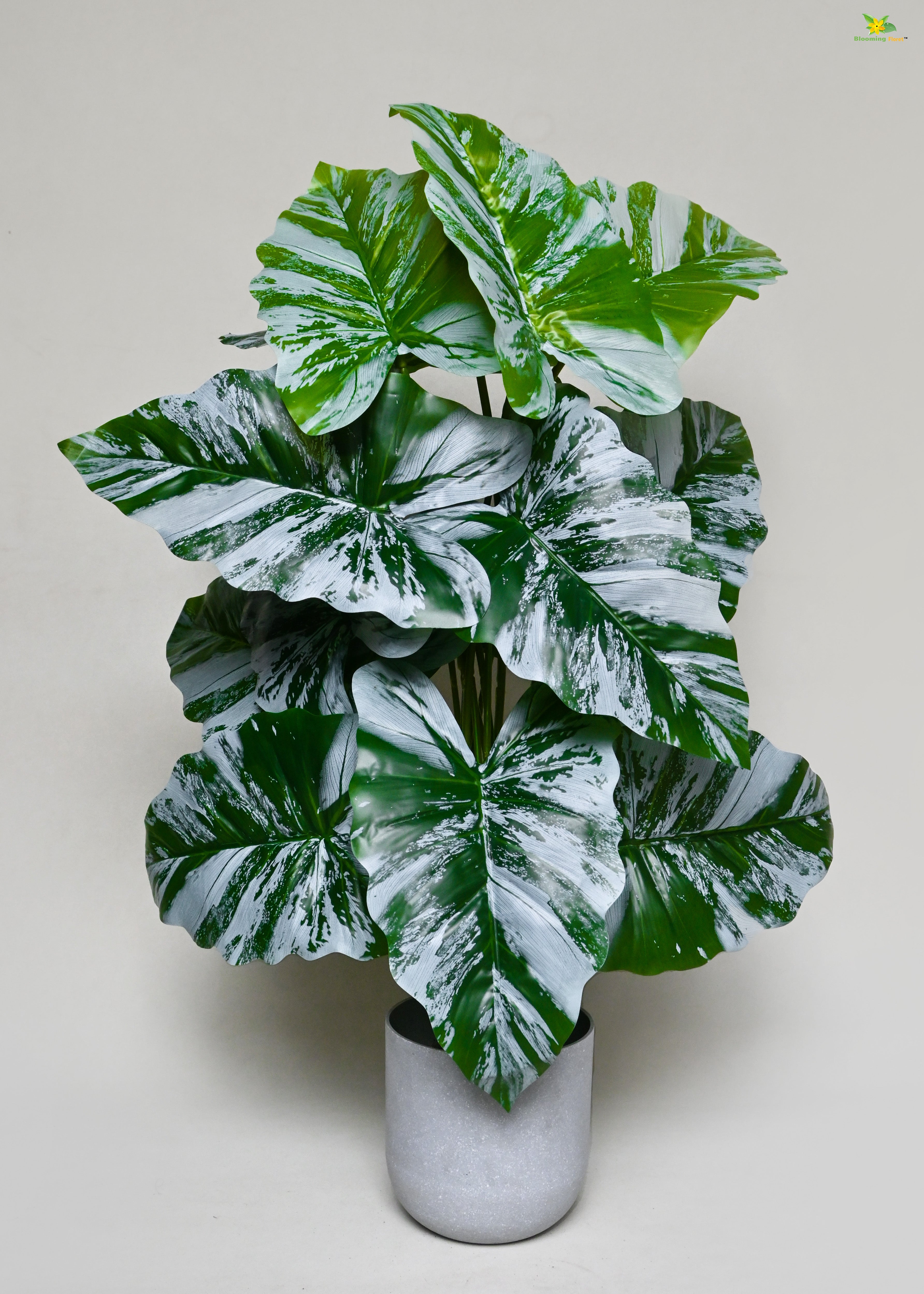 Artificial Tropical Caladium Plant for Decor | 18 Leaves with Basic Pot | 78.7 cm