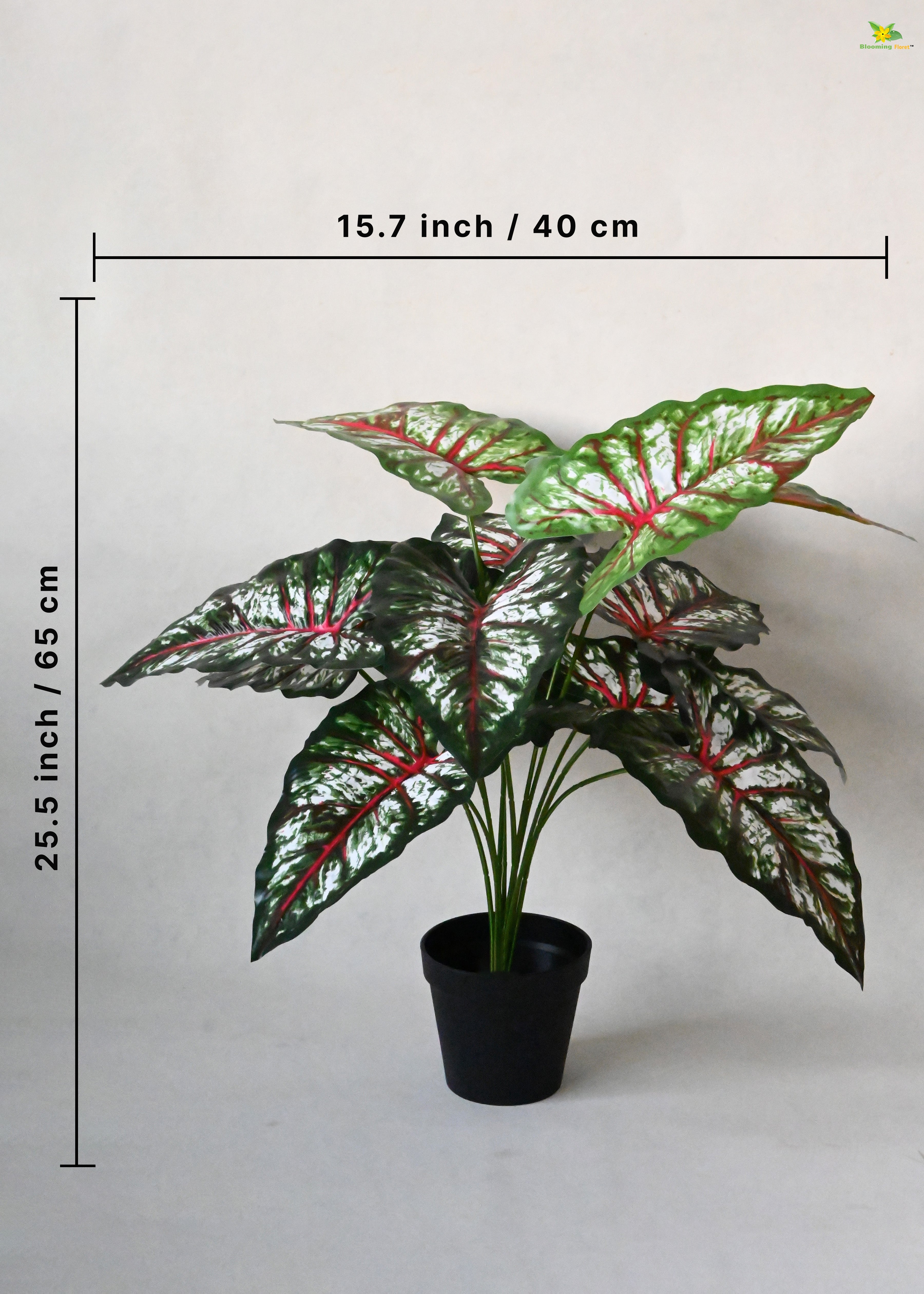 Artificial Tropical Caladium Plant for Decor | 12 Leaves with Basic Pot | 65 cm