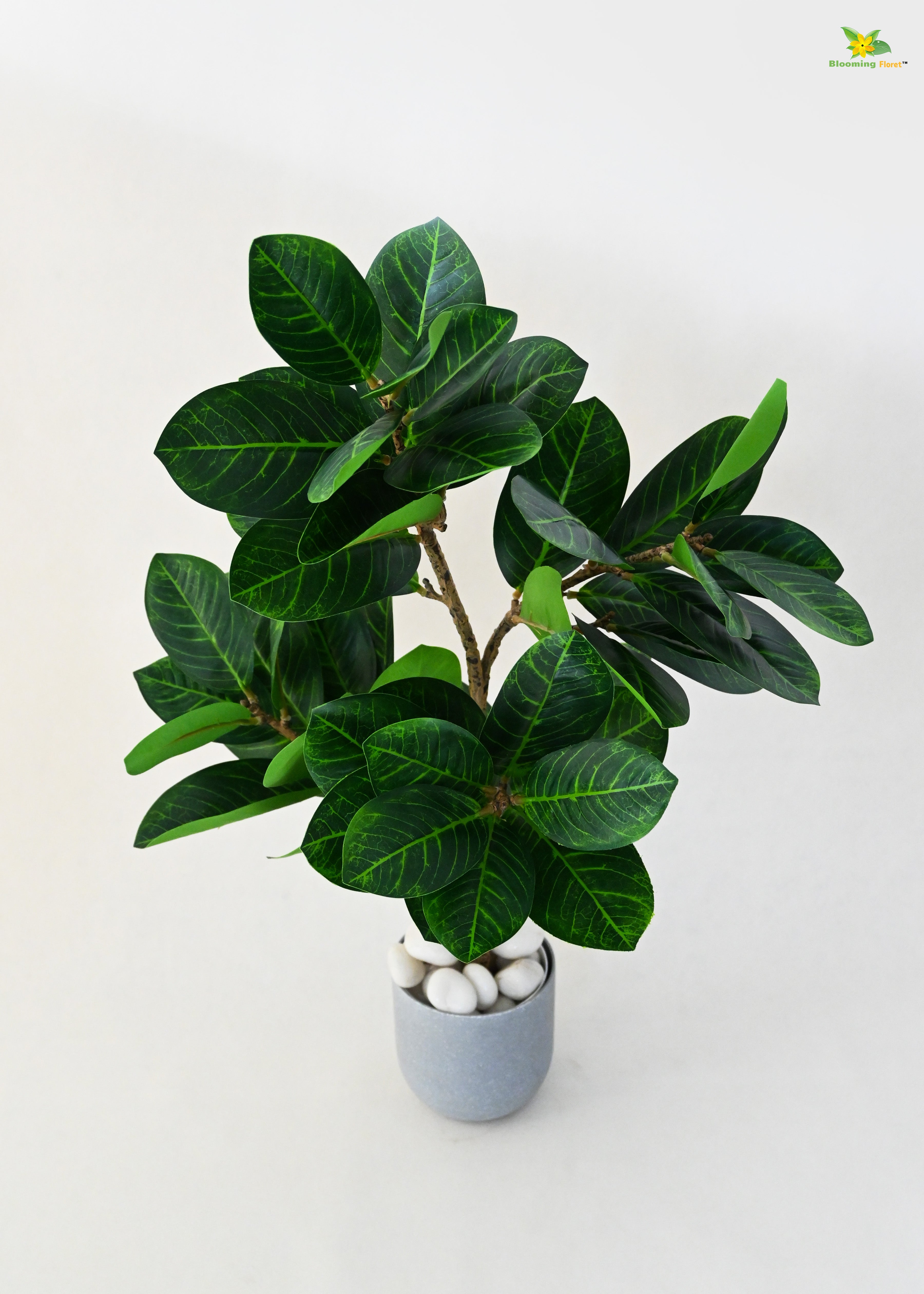 Artificial Fig Plant for Decor | 52 Leaves with Basic Pot | 68.5 cm