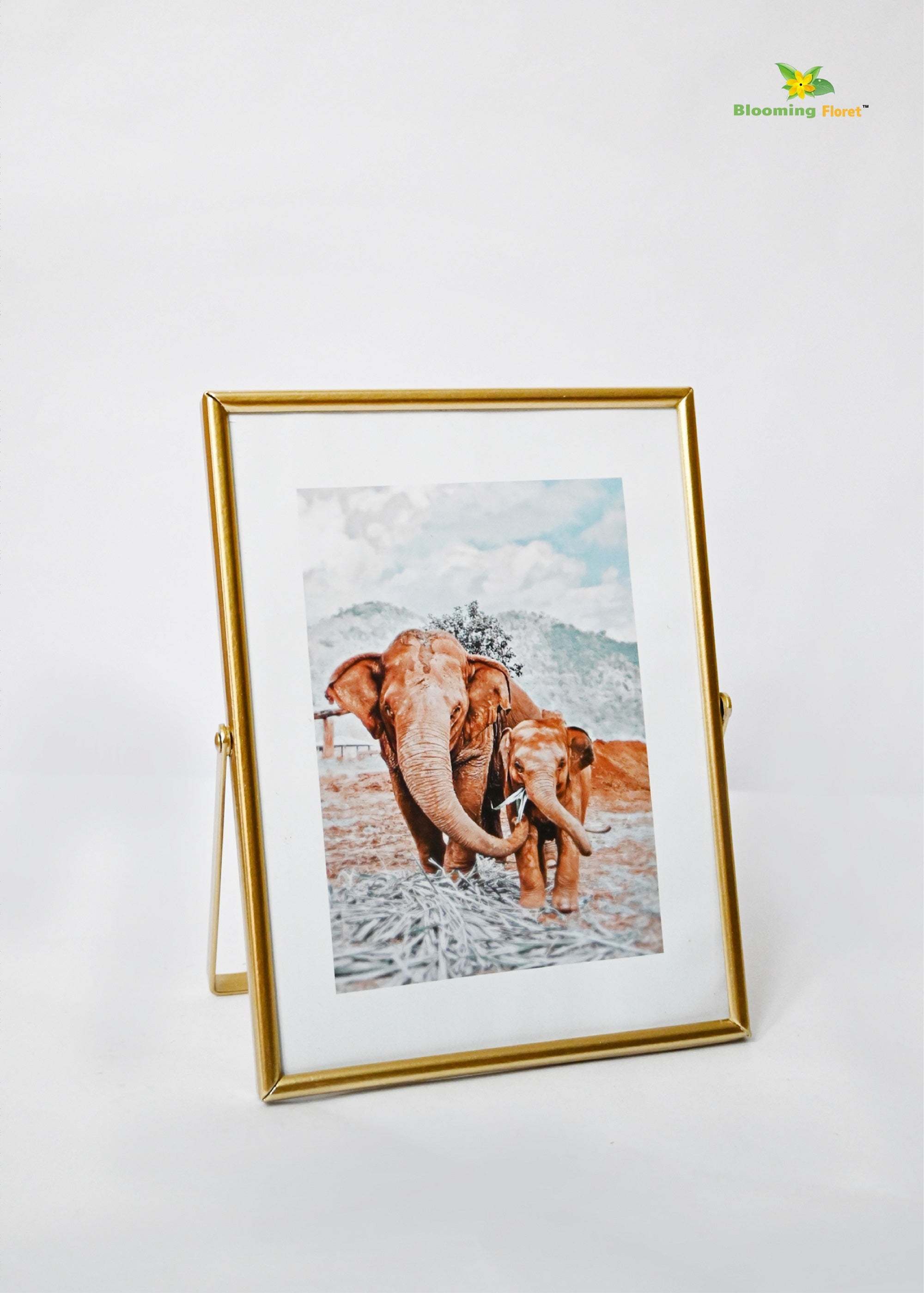 Elephant Metal Photo Frame (16 x 21cm)