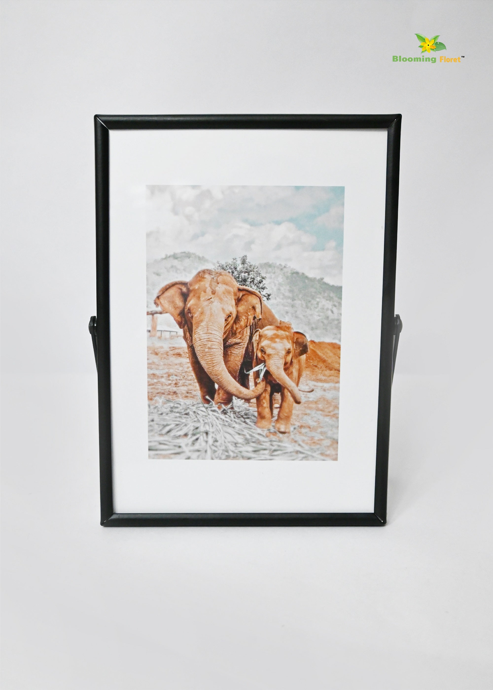 Elephant Metal Photo Frame (13 x 18cm)