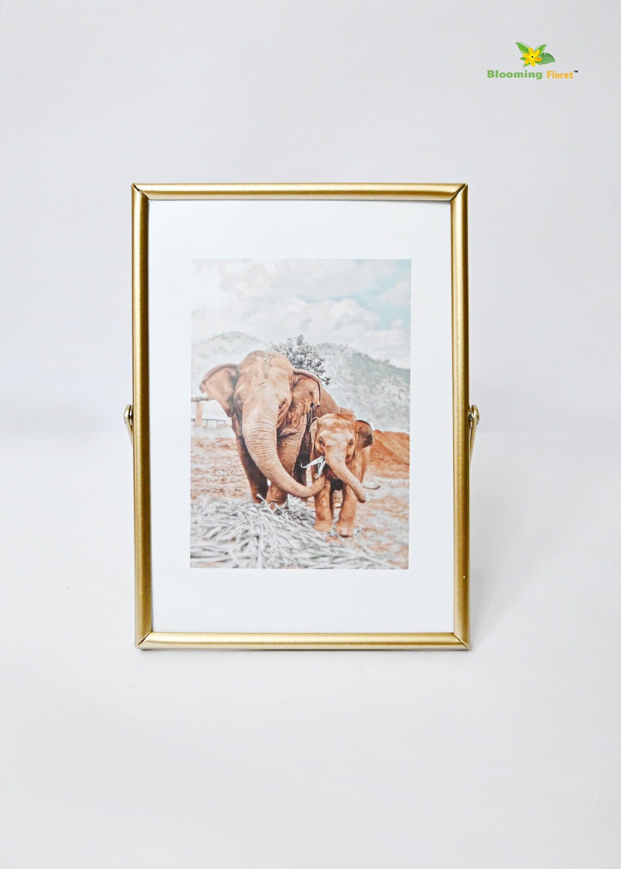 Elephant Metal Photo Frame (13.5 x 19cm)