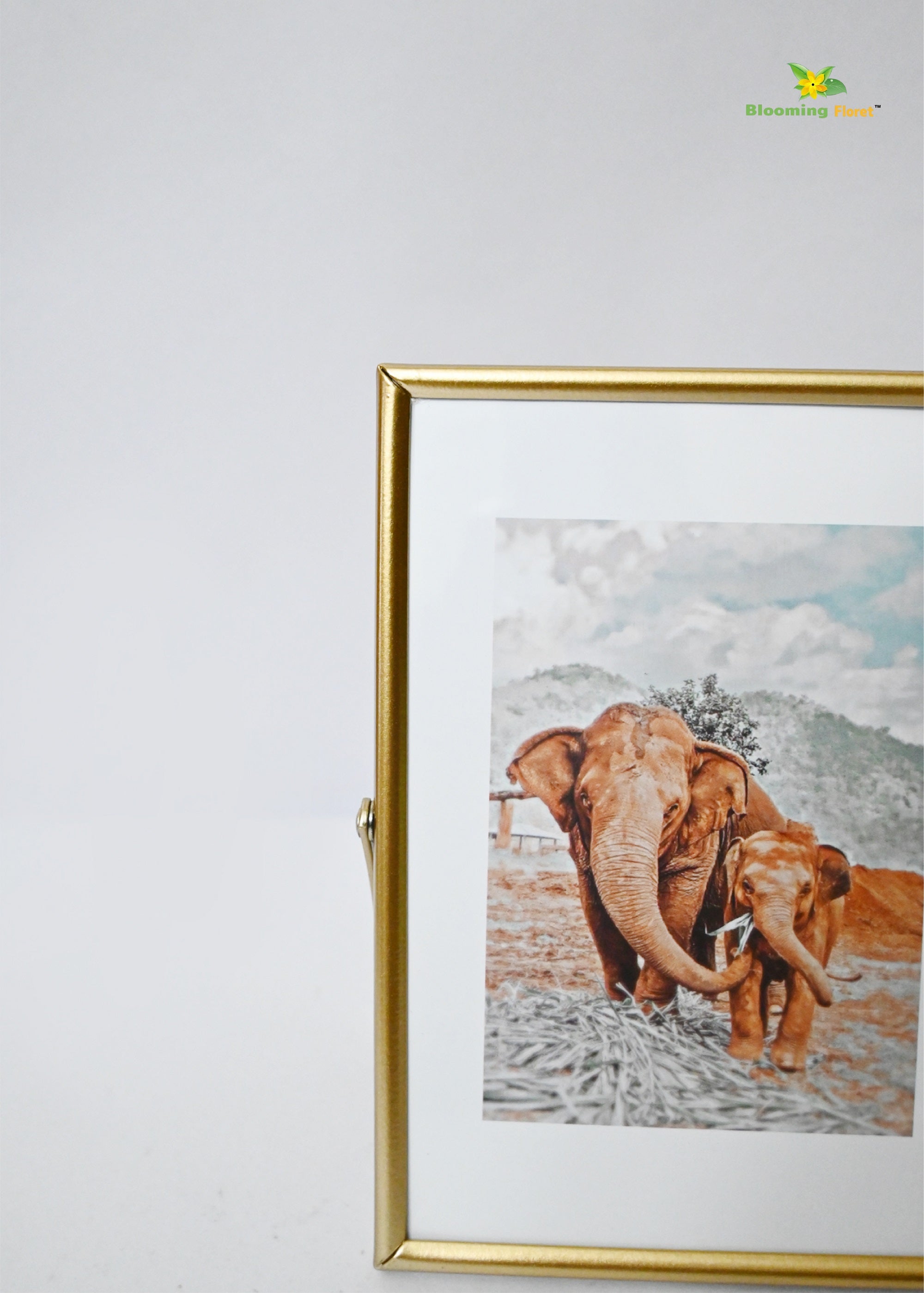 Elephant Metal Photo Frame (13.5 x 19cm)