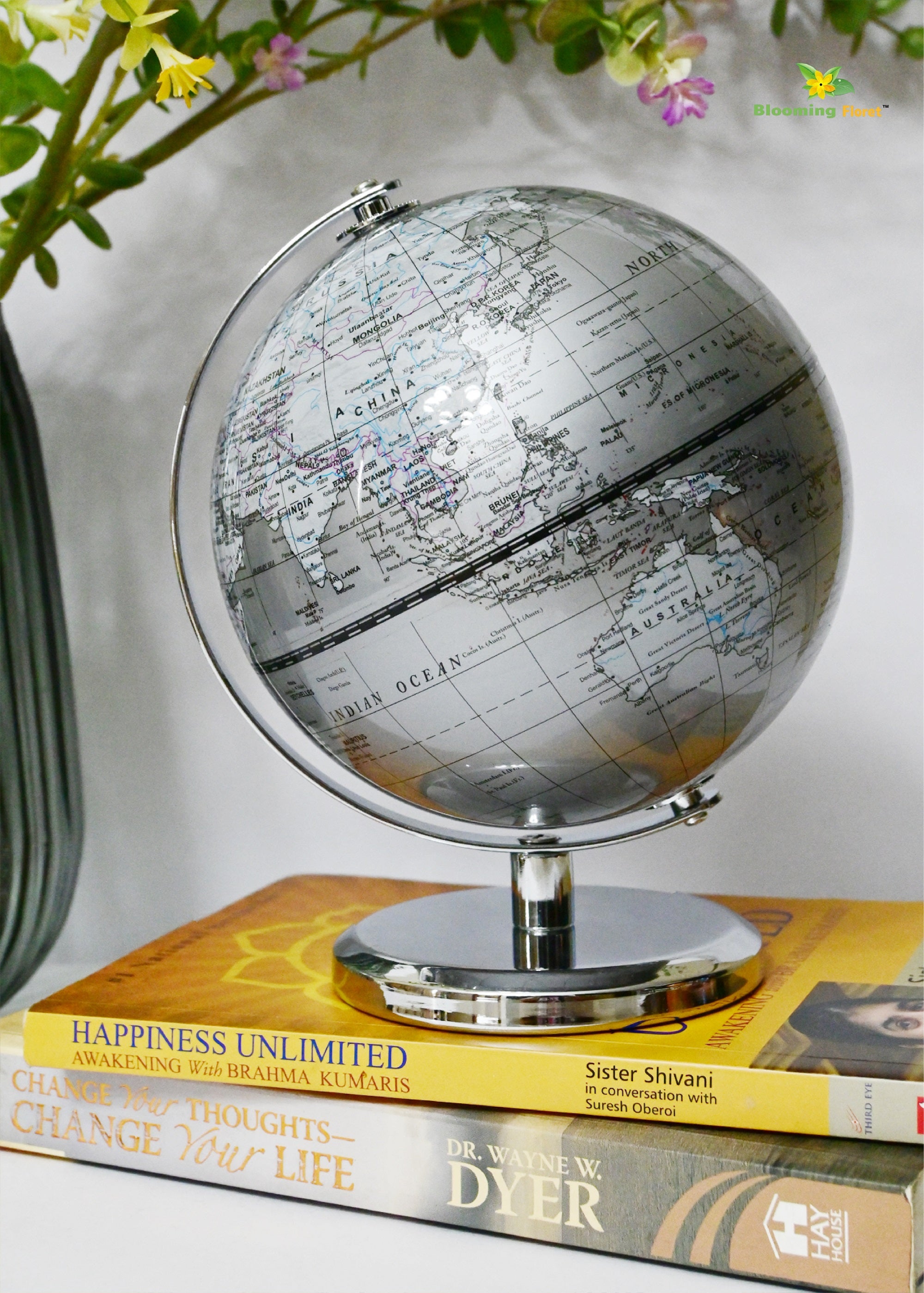 Globe on Metal Stand