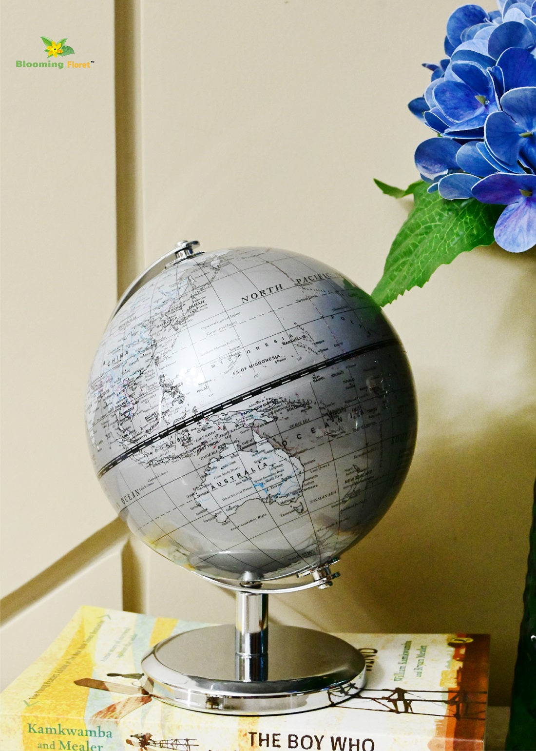 Silver Globe | Plain Silver Stand | 22 cm