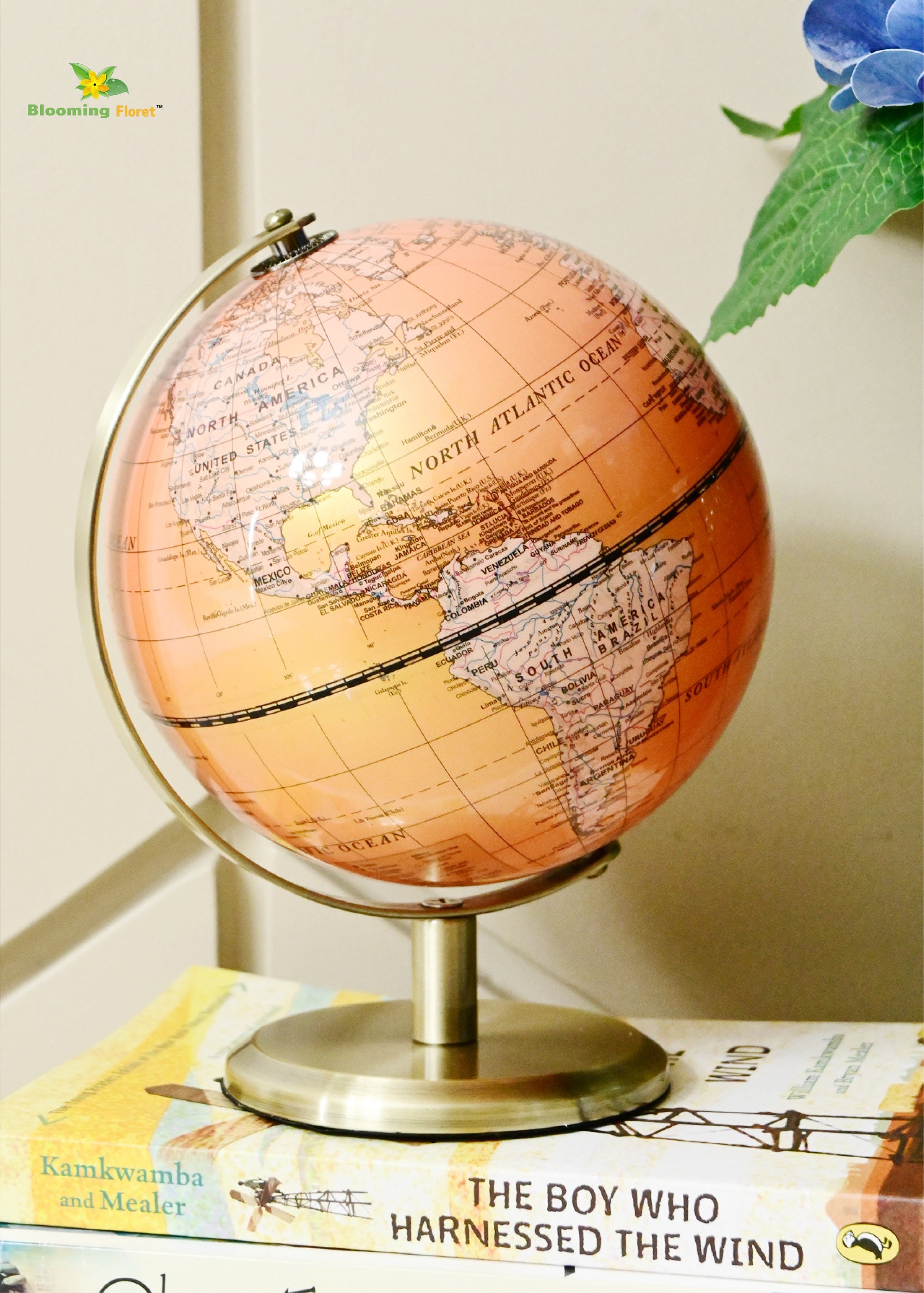 Globe on Metal Stand